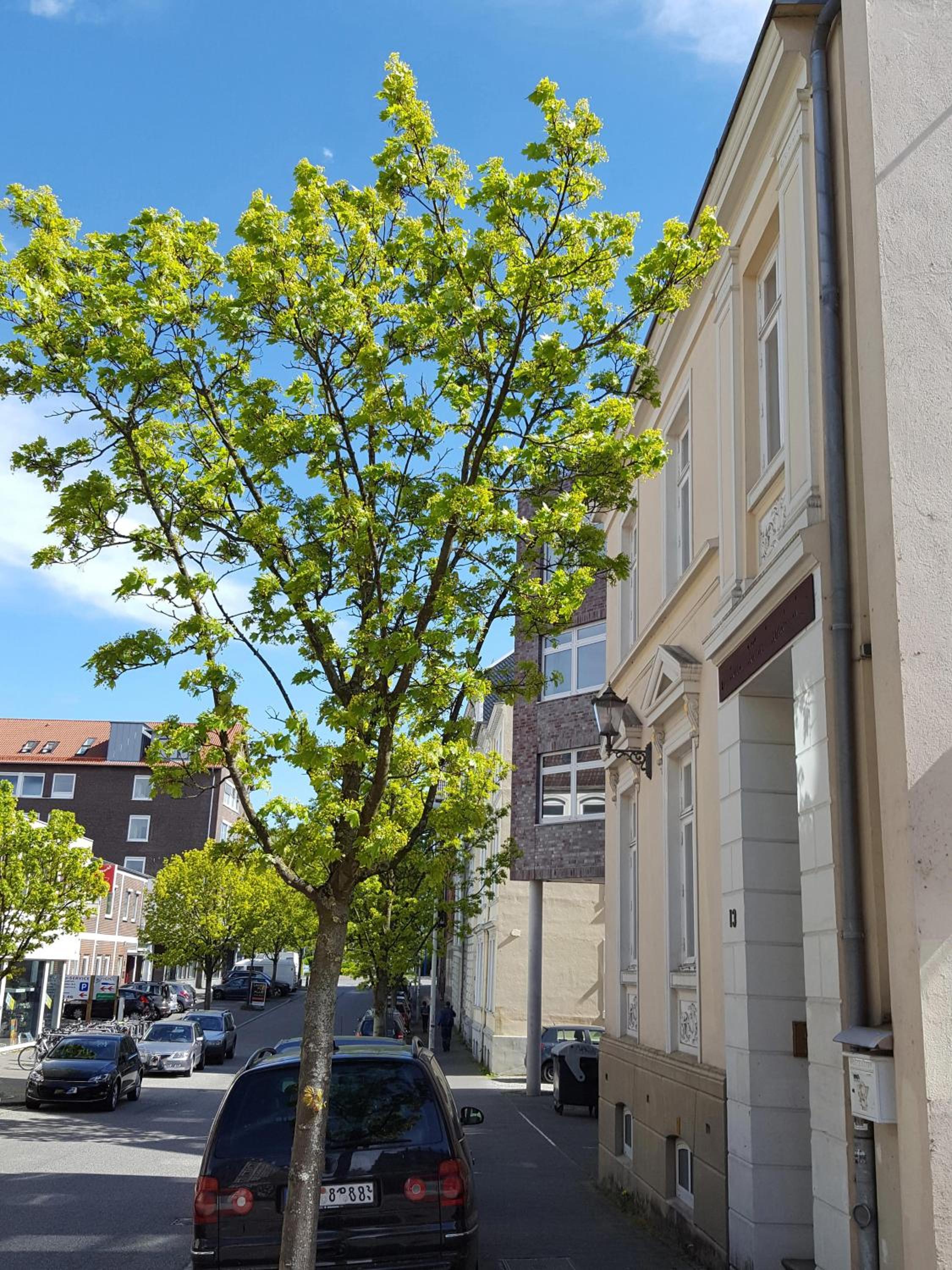 Apartments Harmsstraße 13