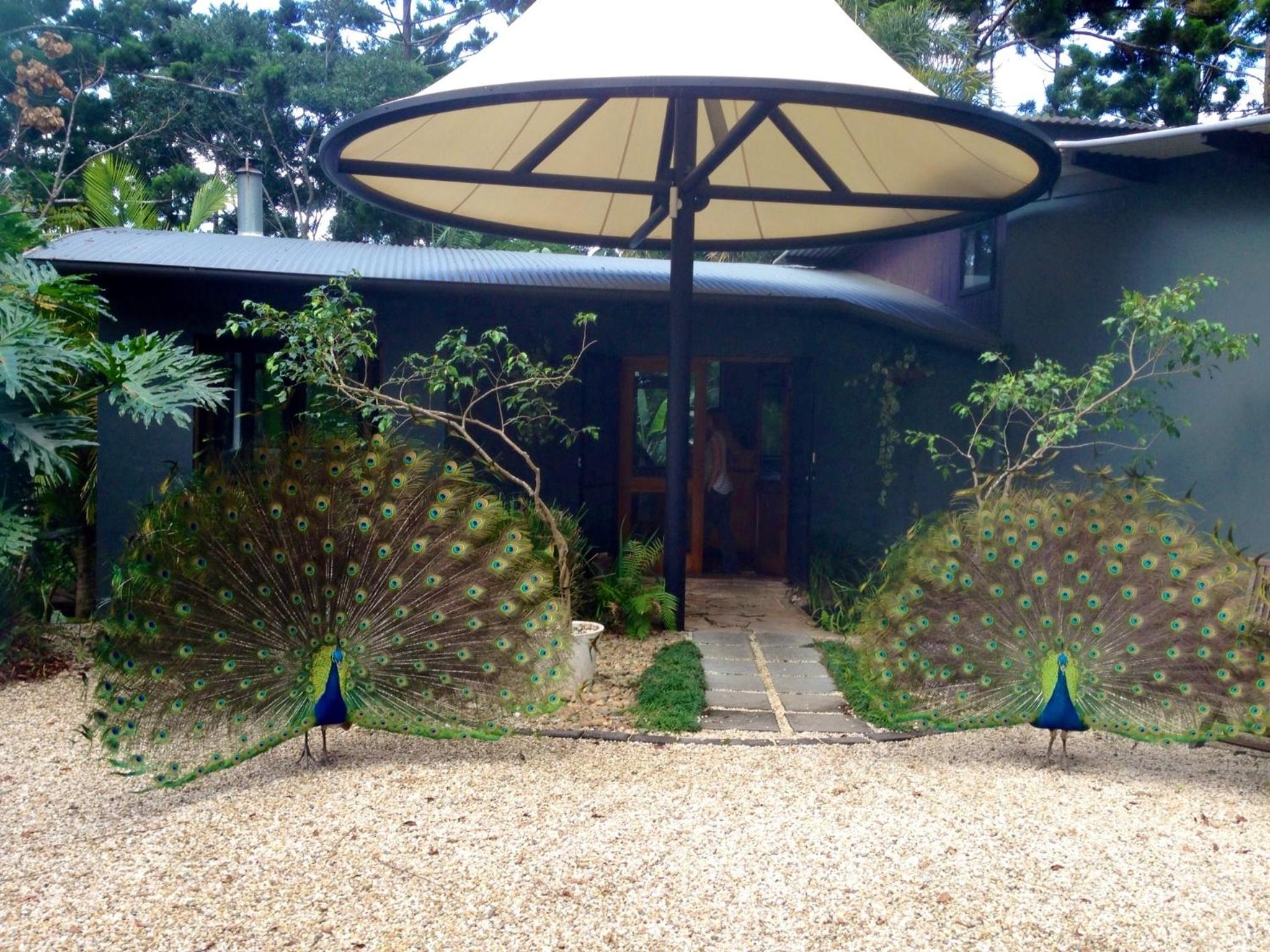 Azabu Retreat