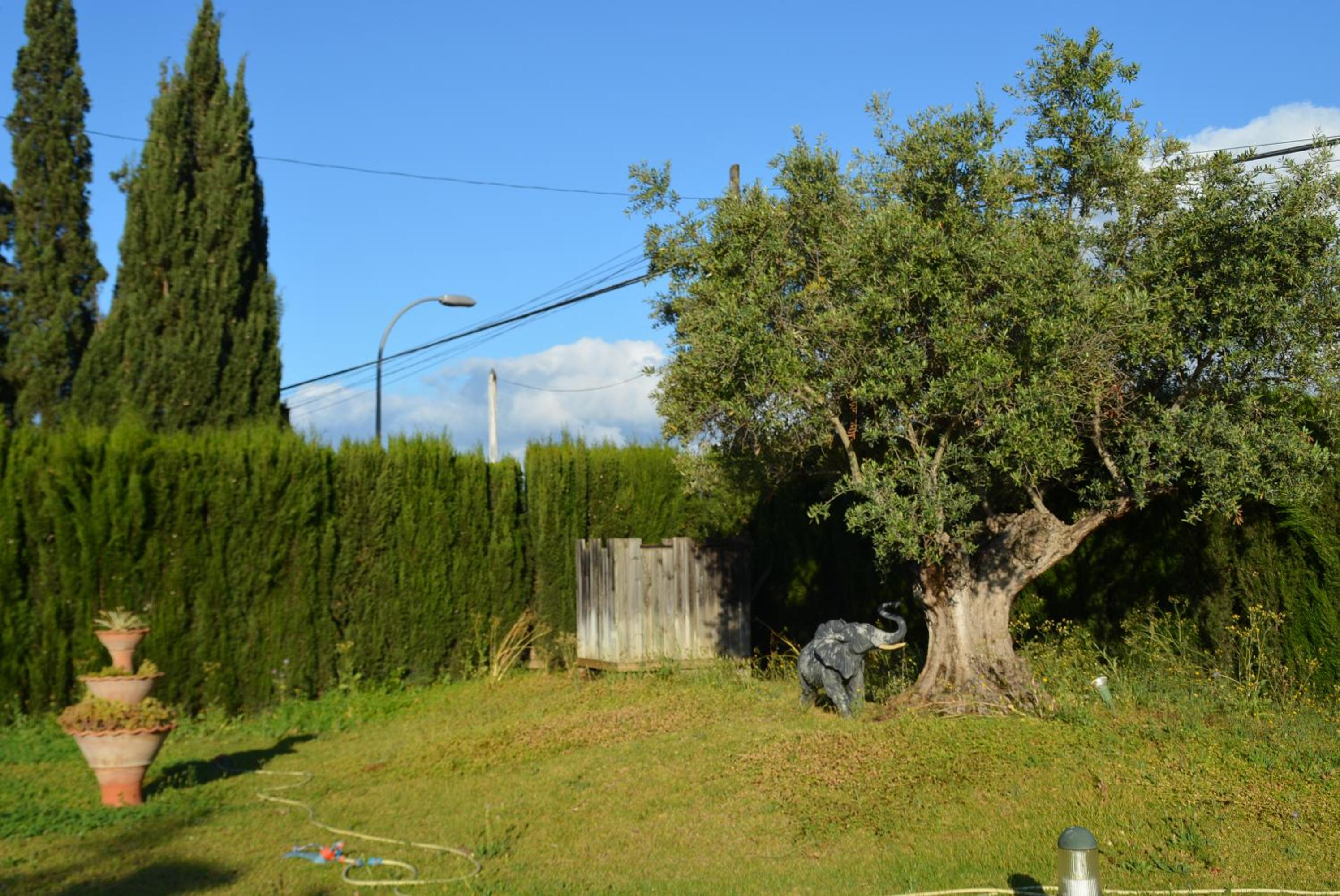 Photo 22