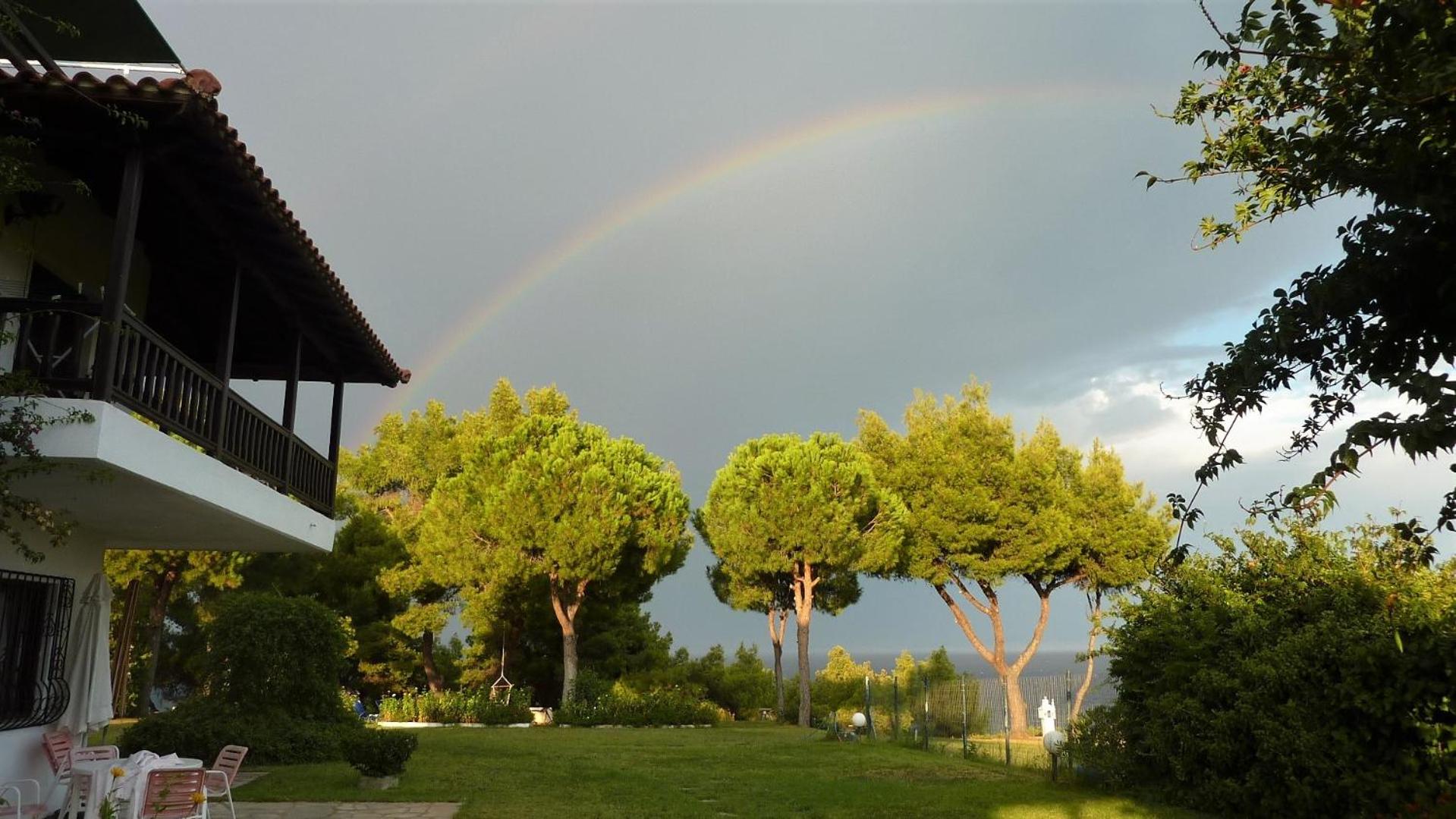 Photo 21