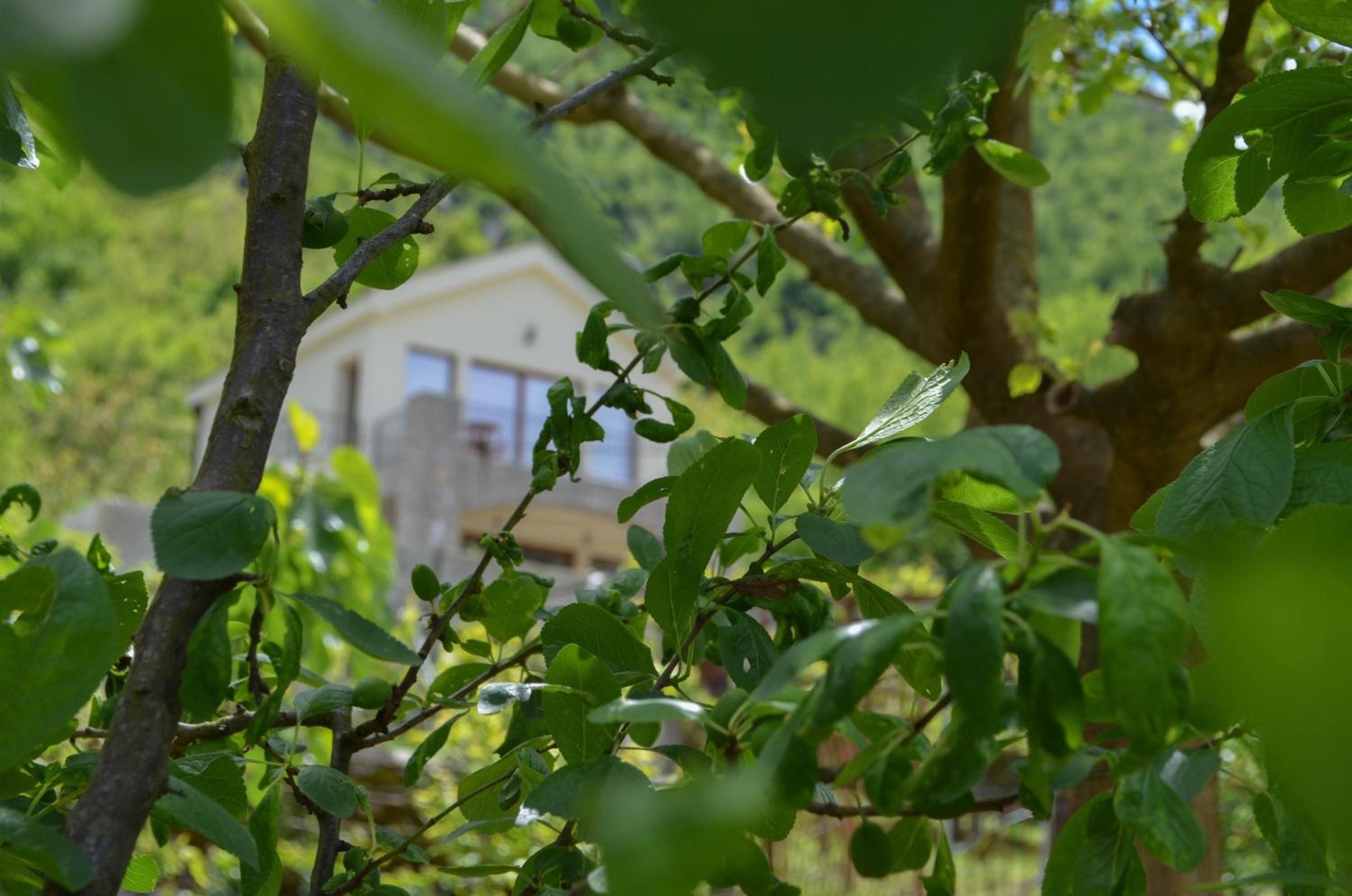 Photo 43