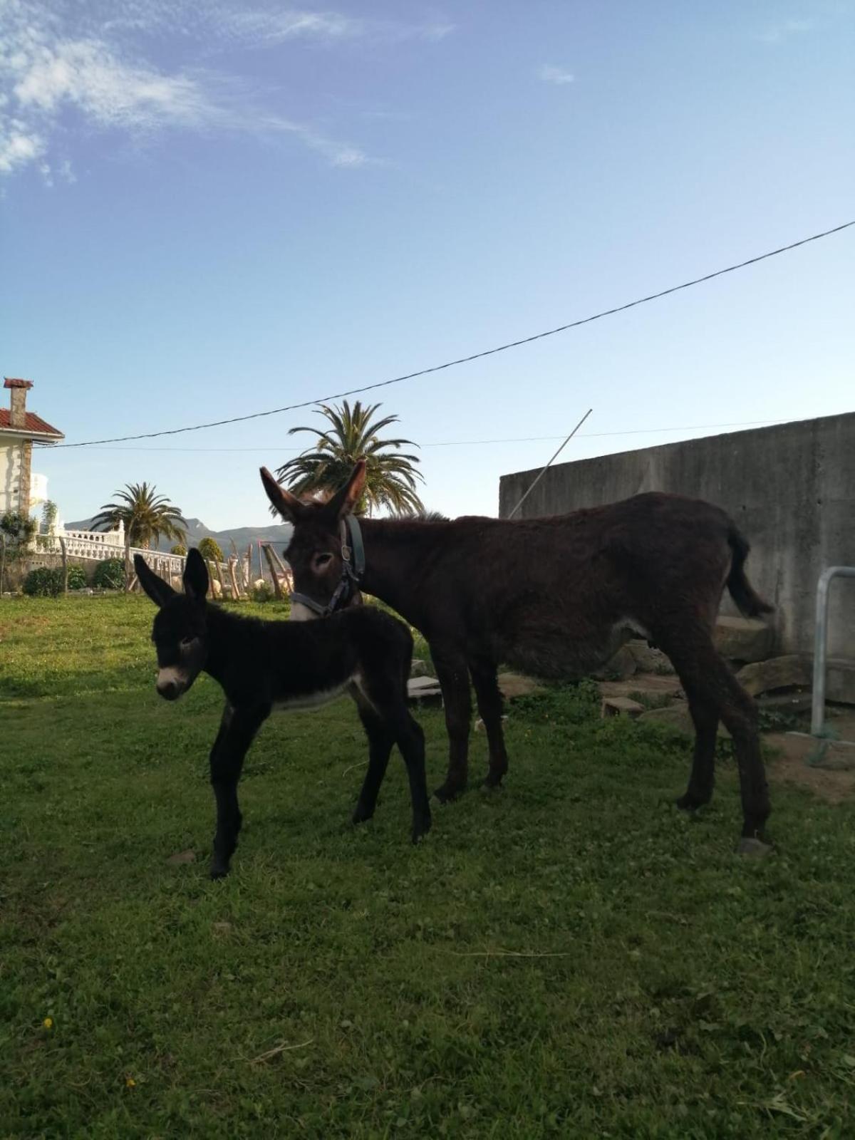 Agroturismo Pagoederraga