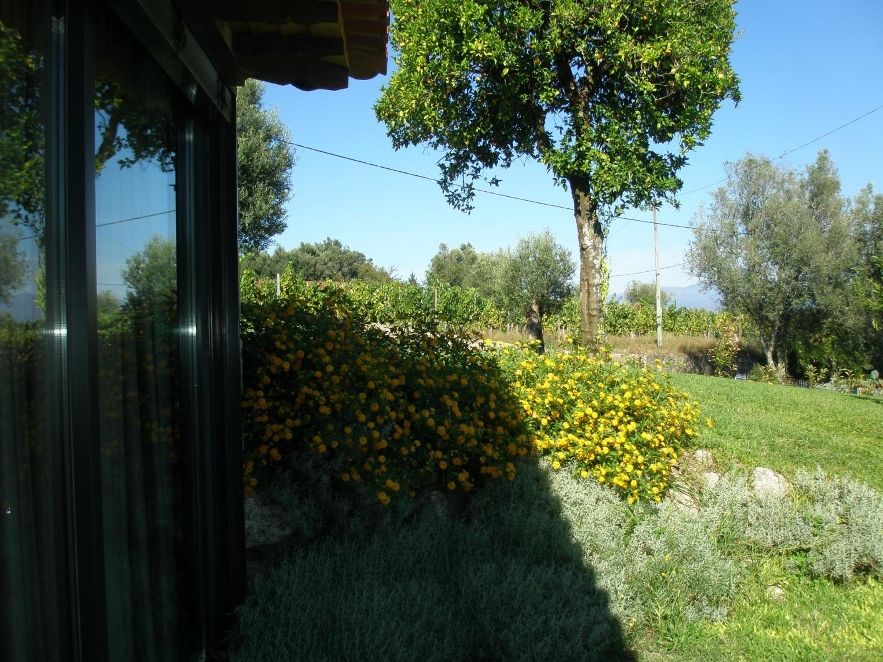 Photo 35