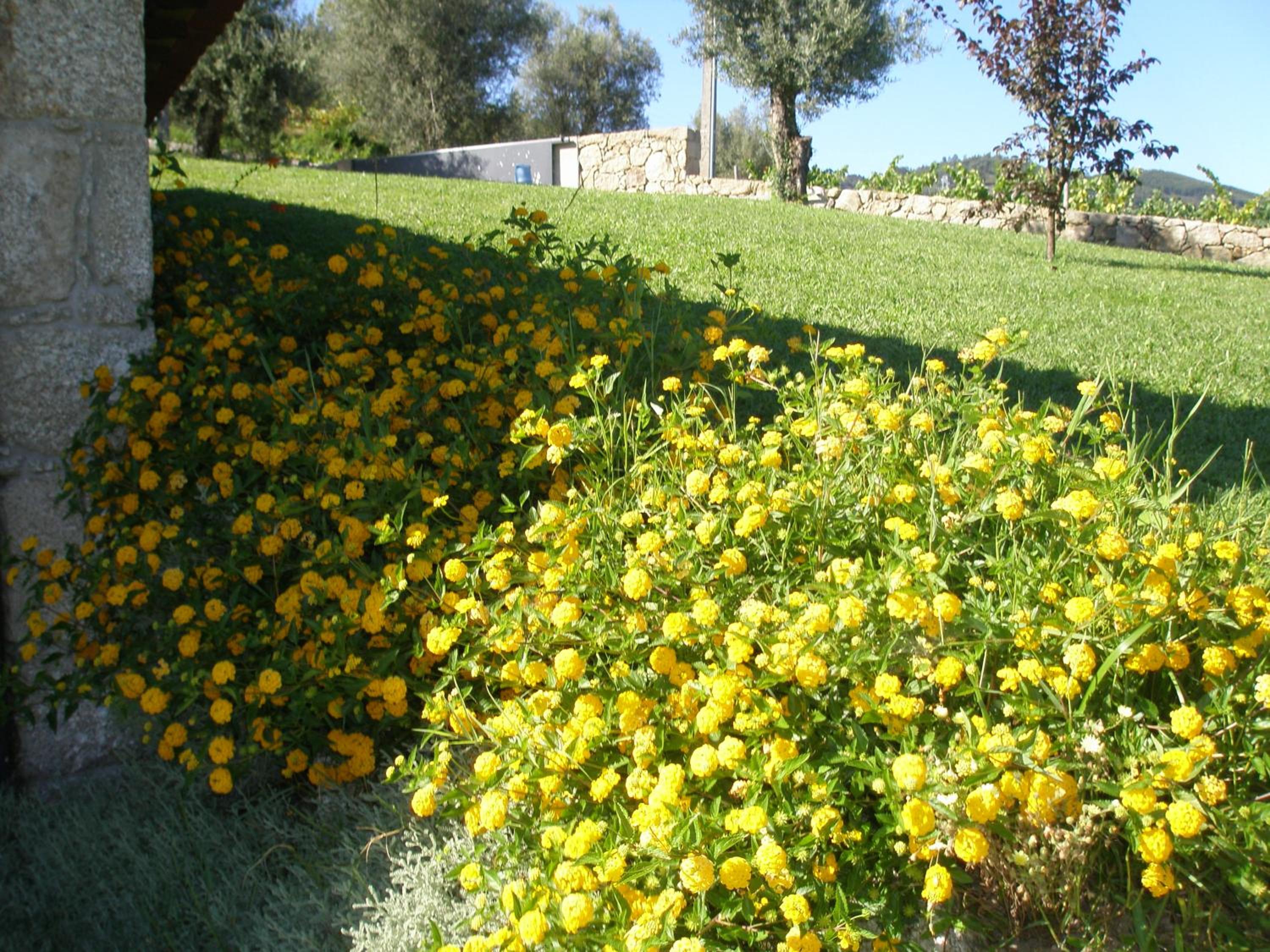 Photo 34