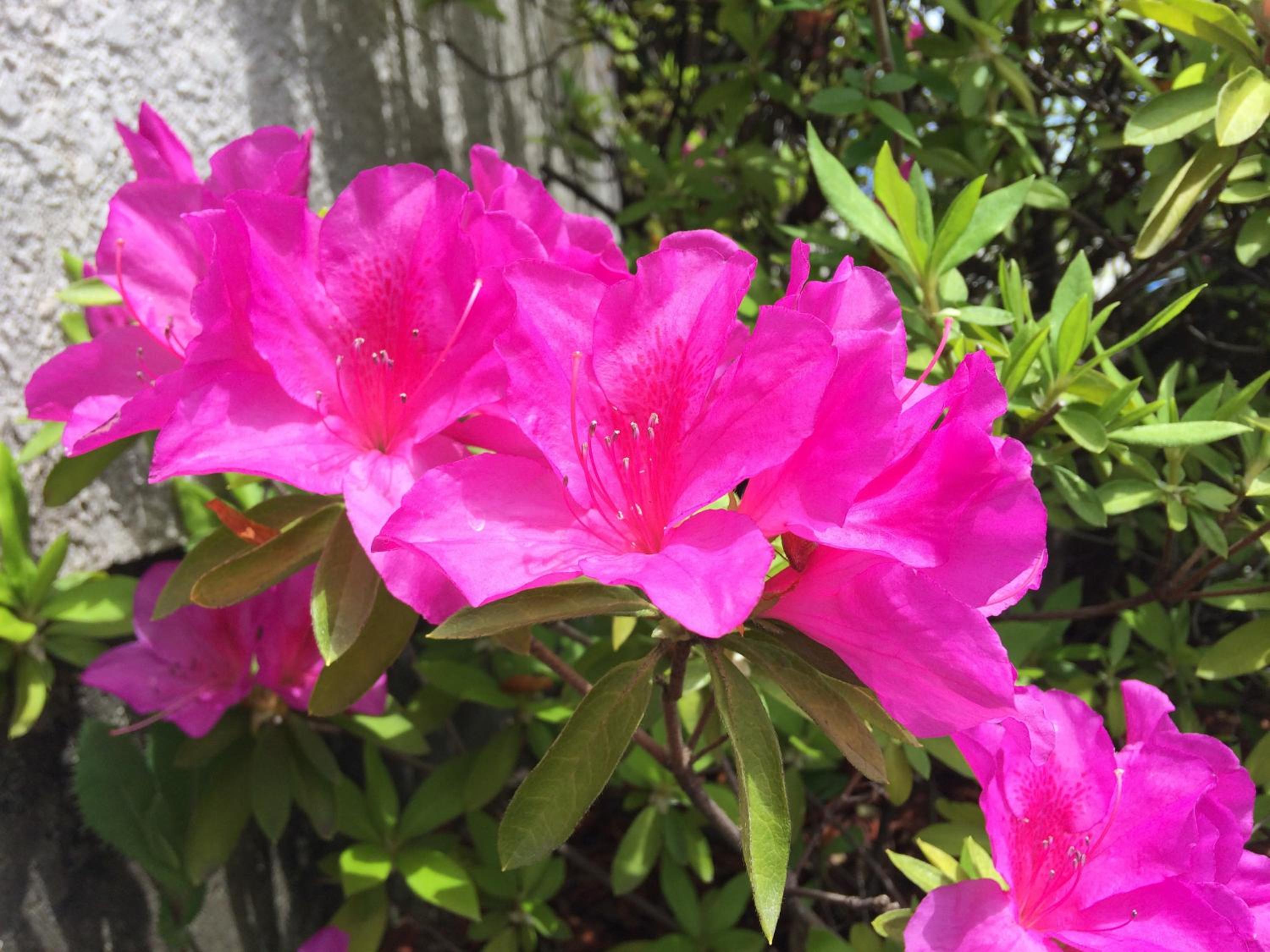 Photo 47