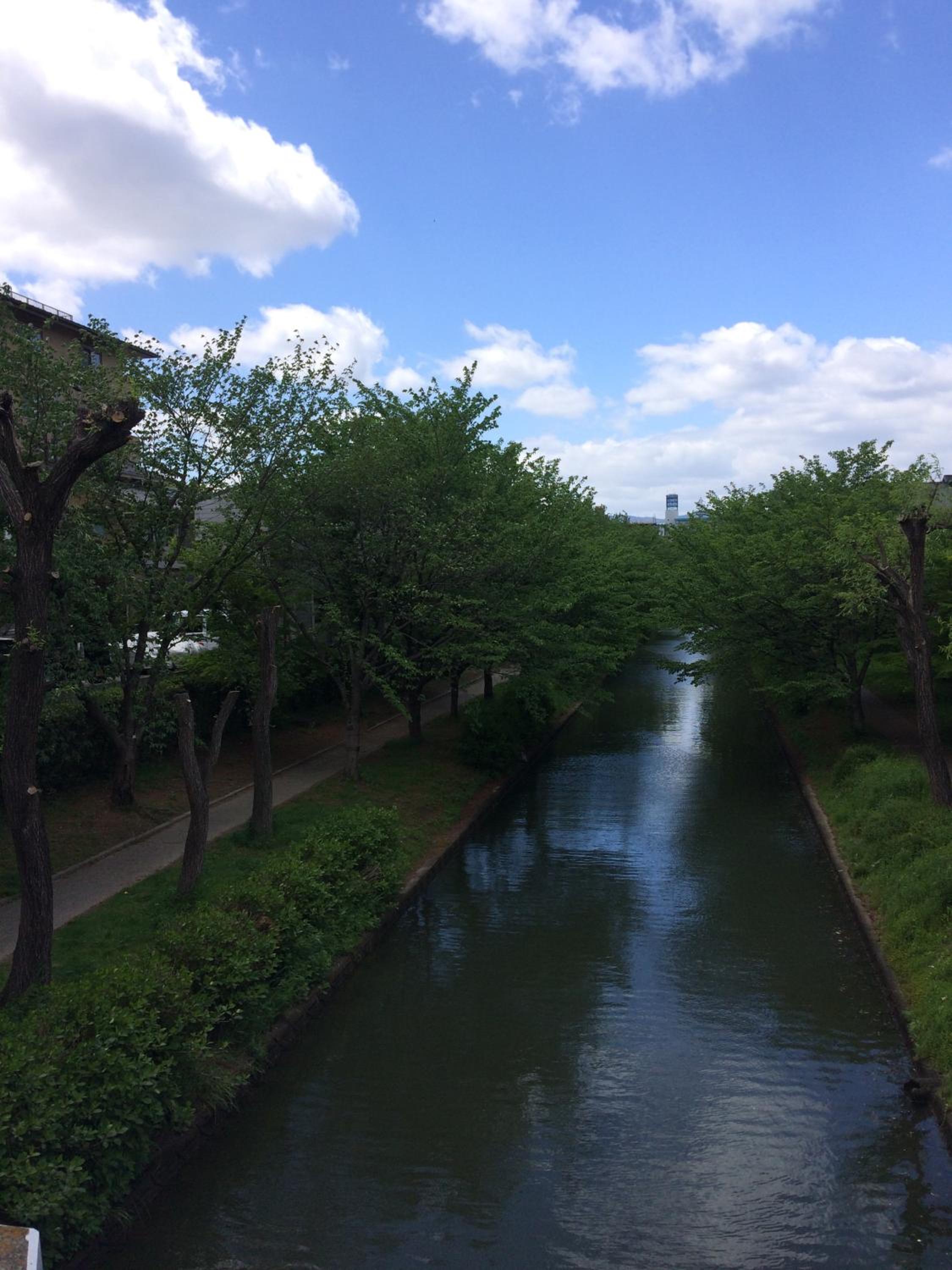 Photo 42