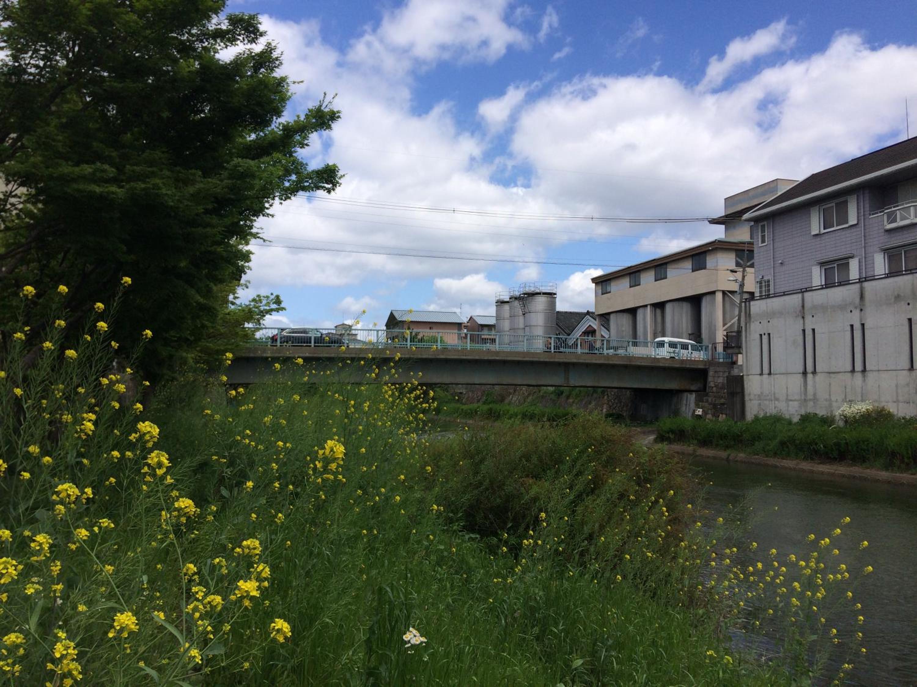 Photo 38