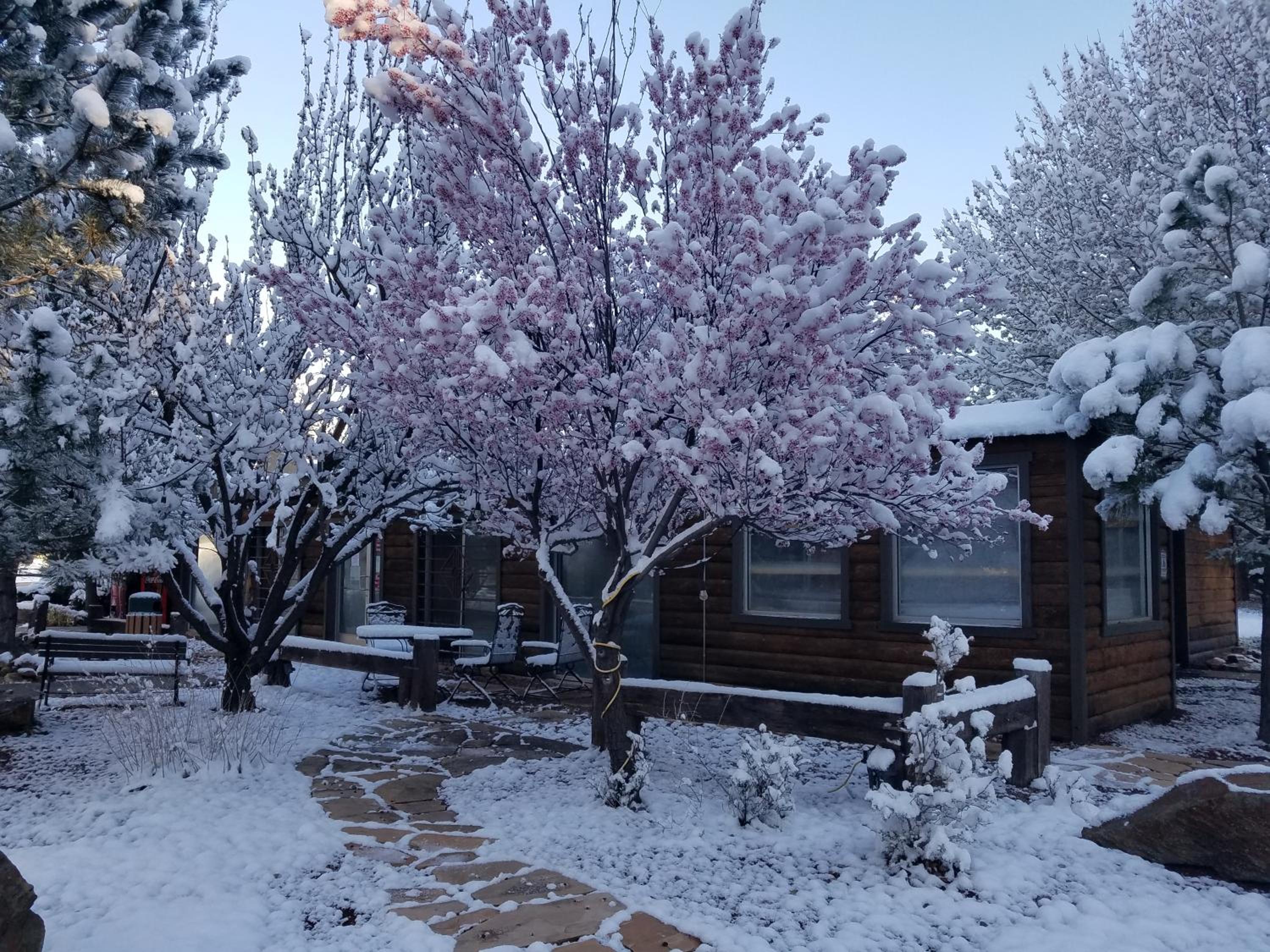 West Winds Lodge view 4
