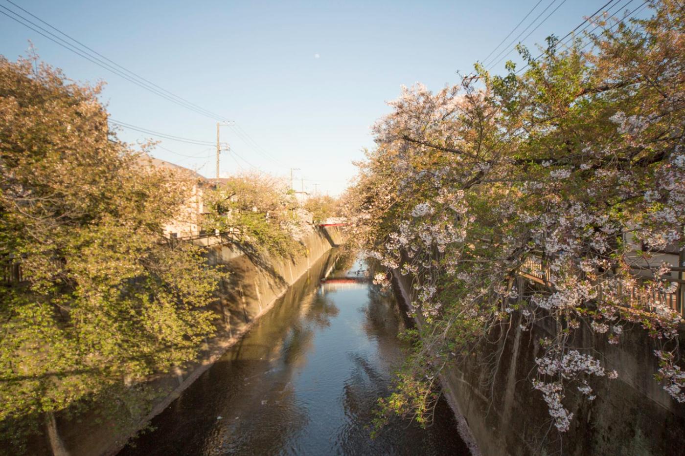 nestay house tokyo itabashi 02