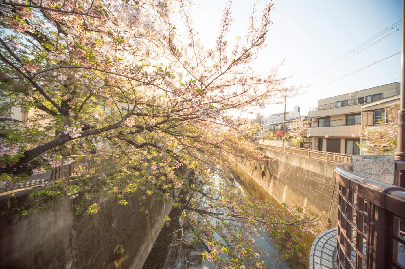nestay house tokyo itabashi 01