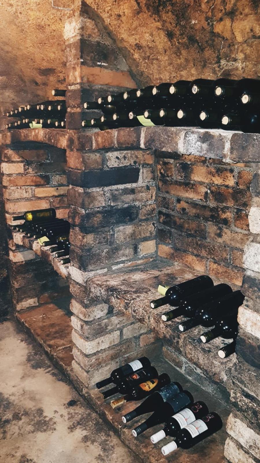 Pod Vinicí