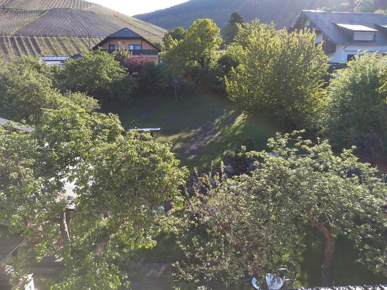 Pension Auf der Olk mit Röpertsmühle