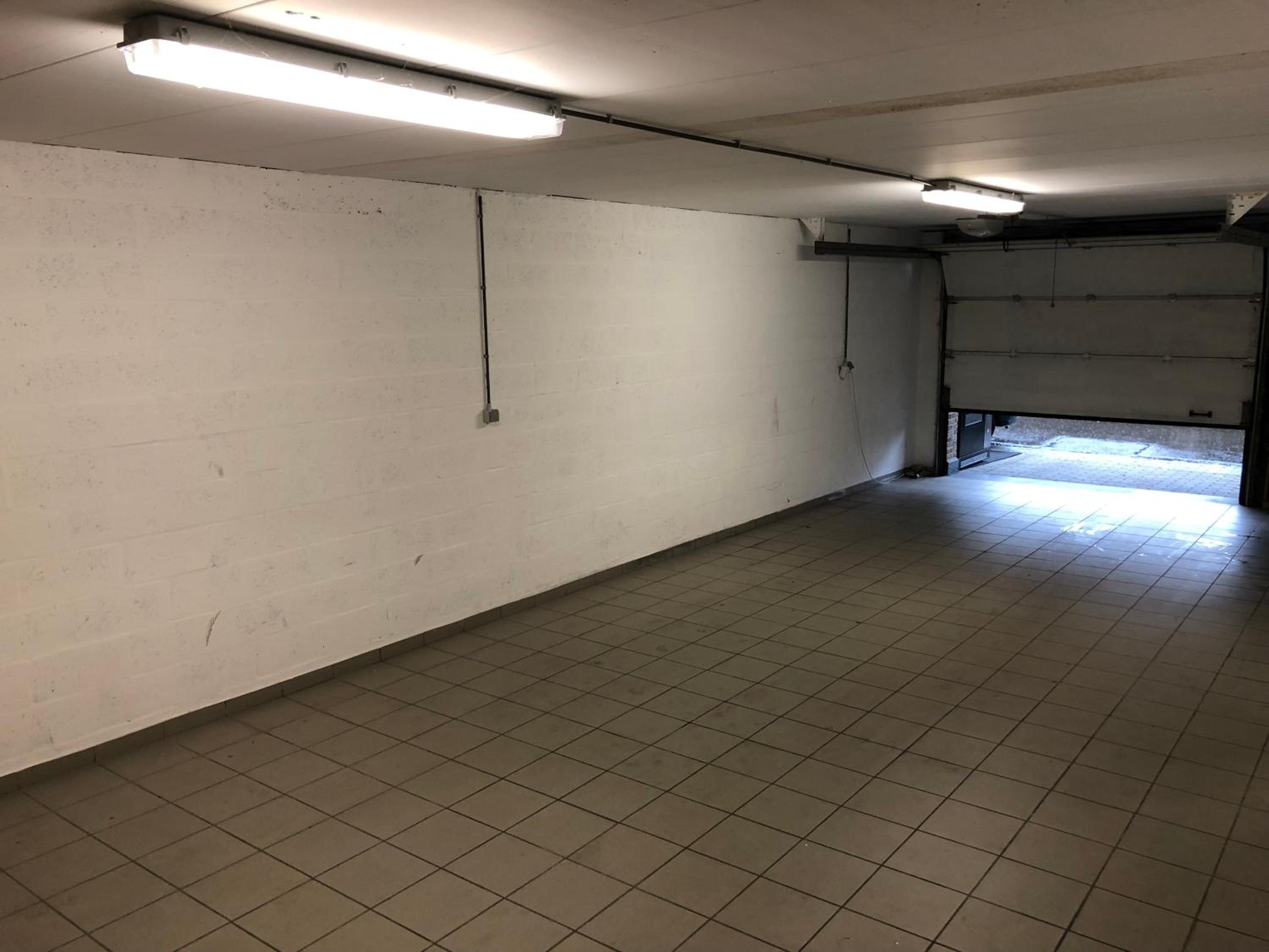 Maaszicht