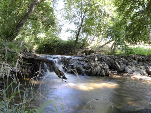Alojamientos Rurales La Codosera