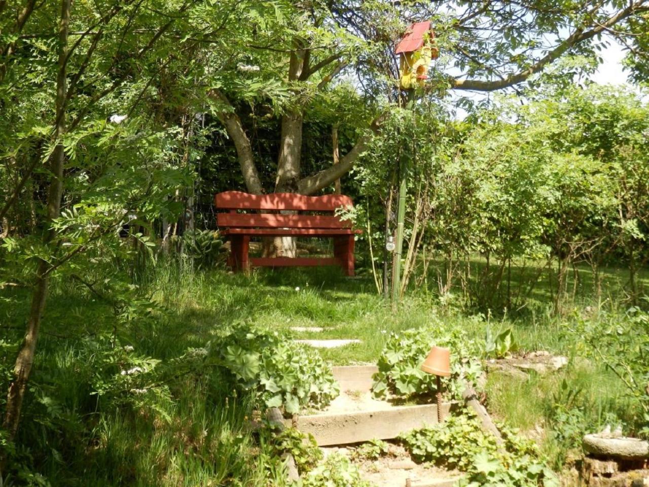 Photo 21