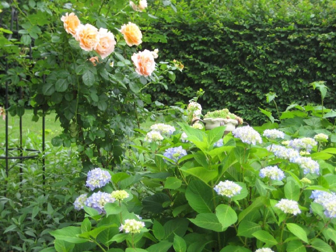 Photo 47