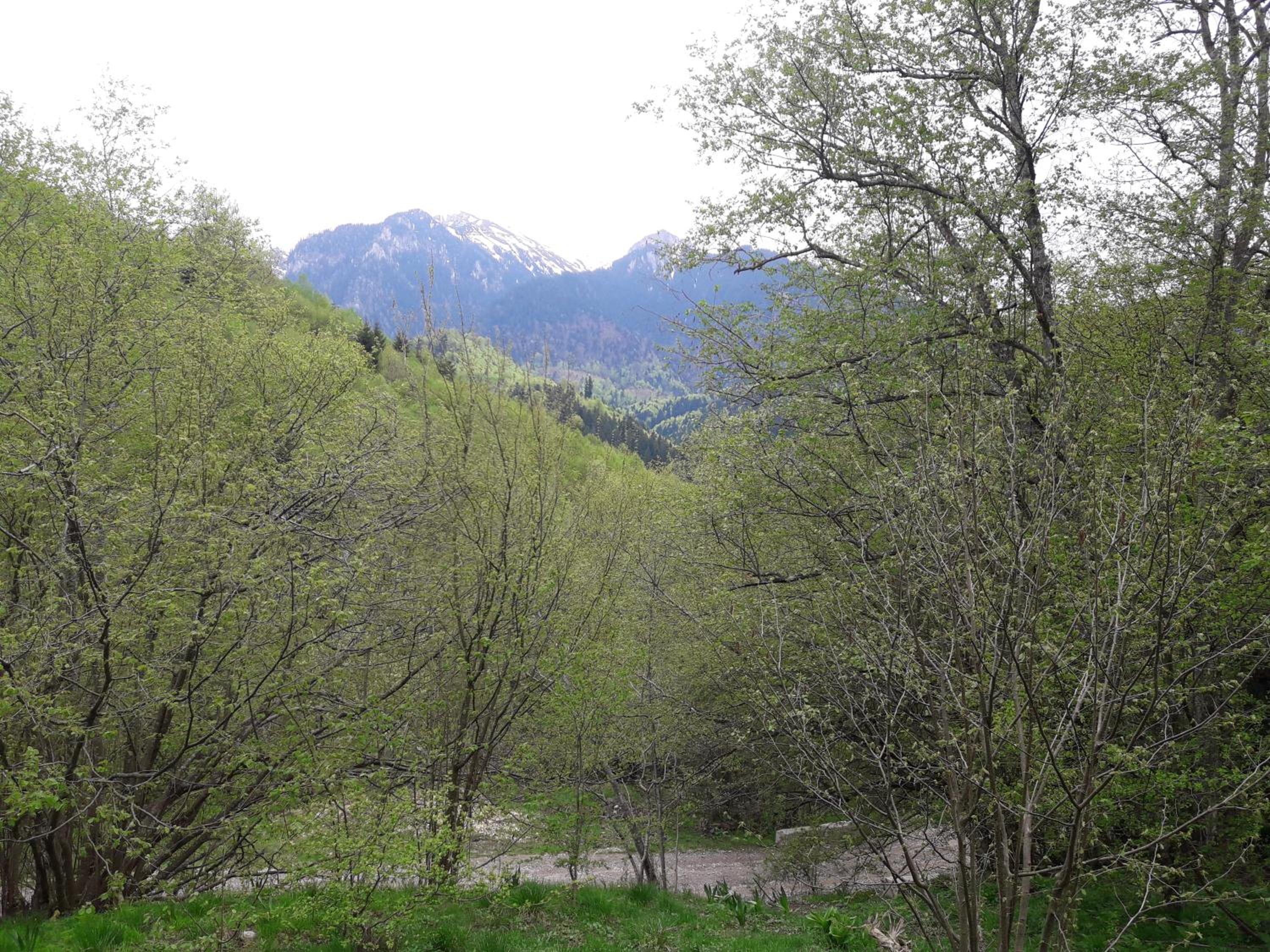 Photo 30
