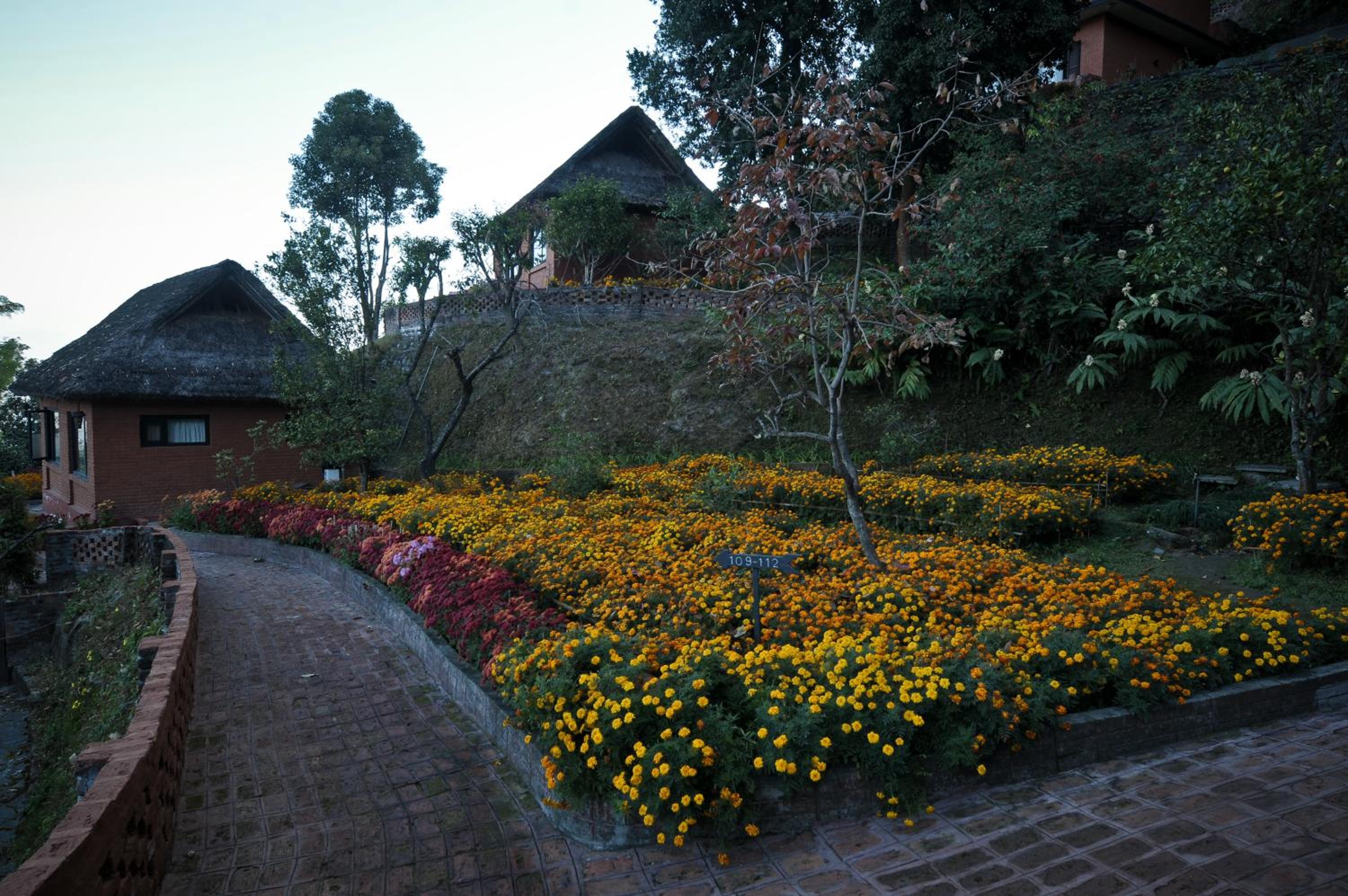 Photo 47