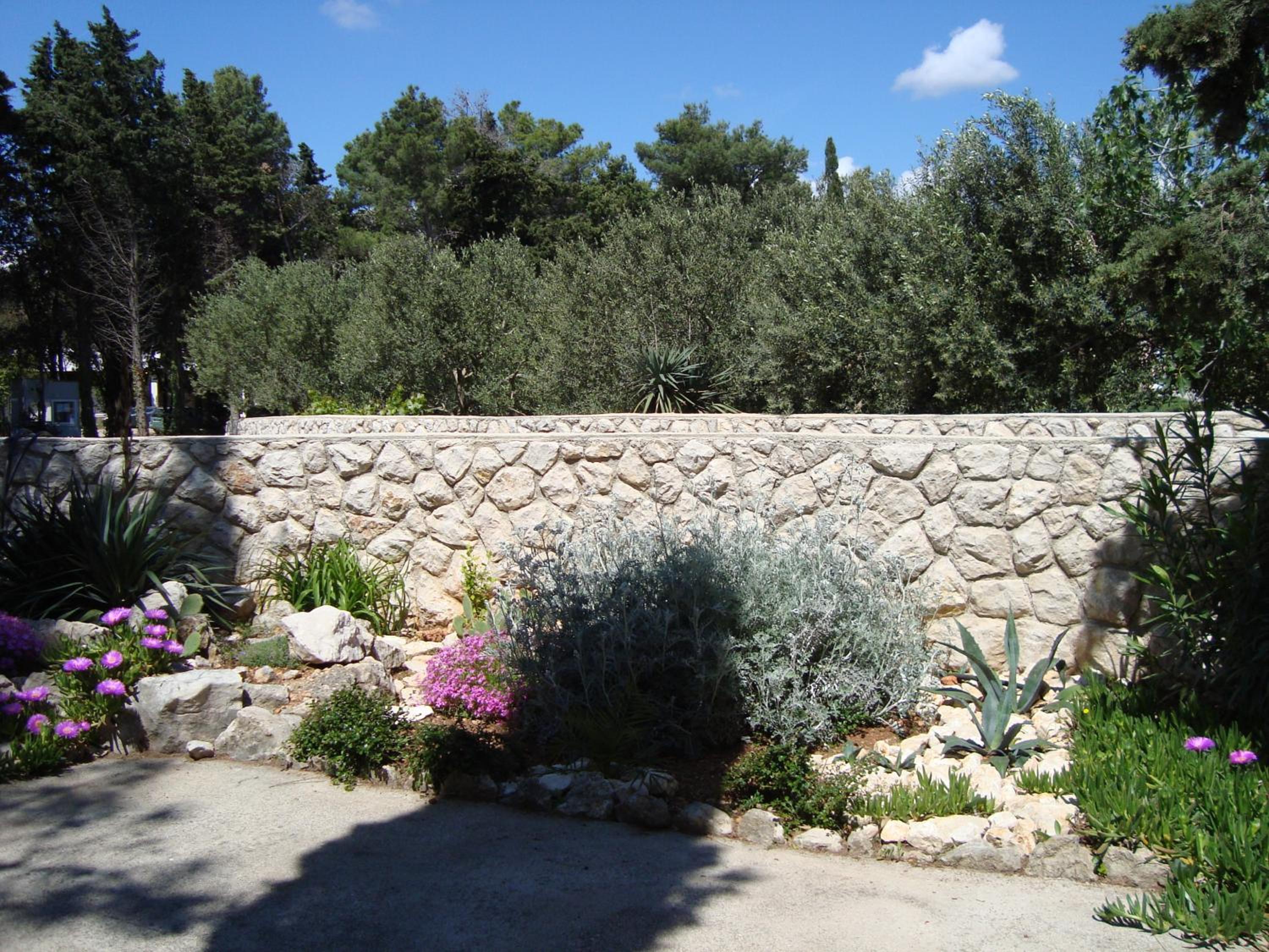 Photo 24