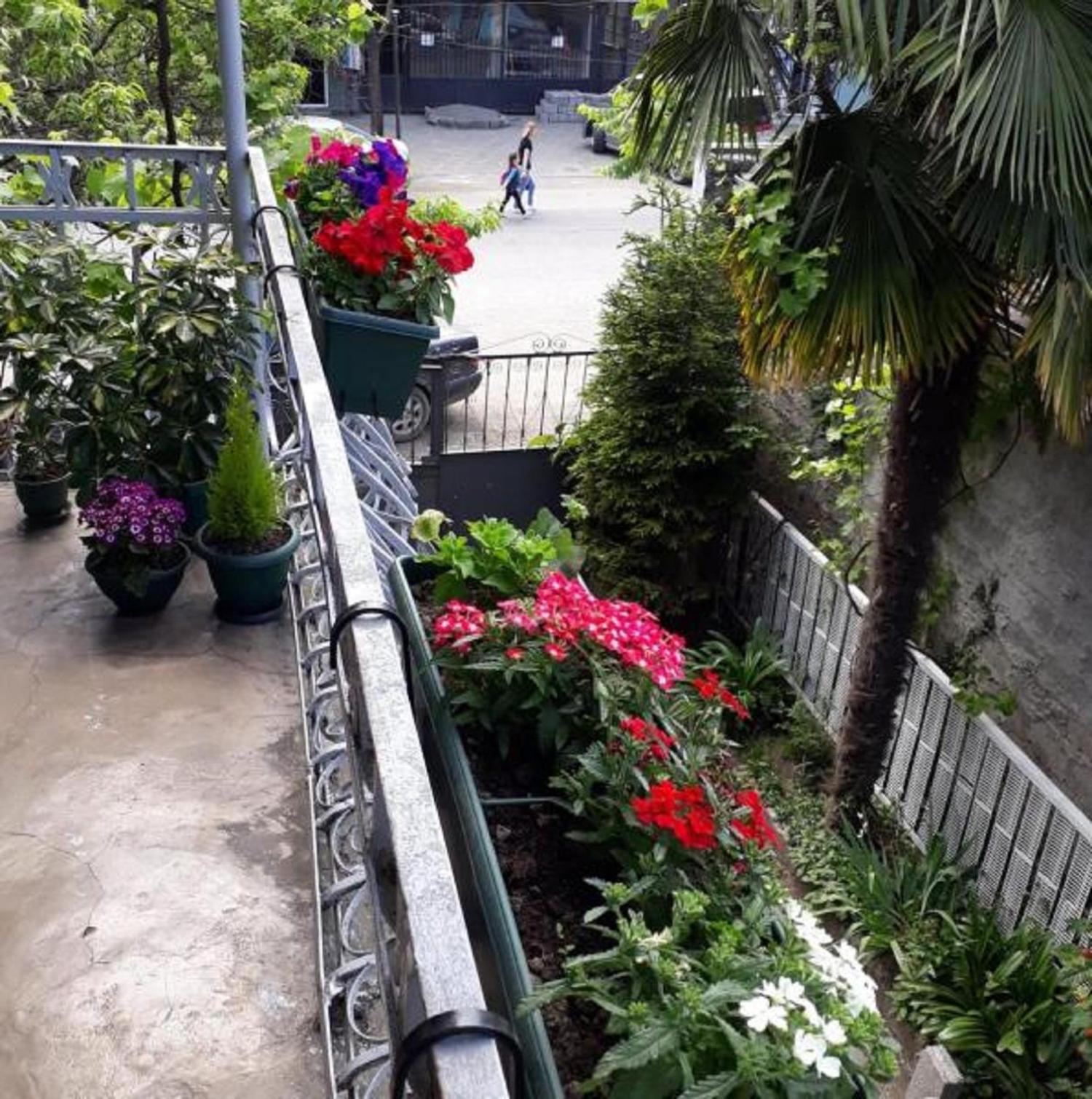 Homestay Izolda
