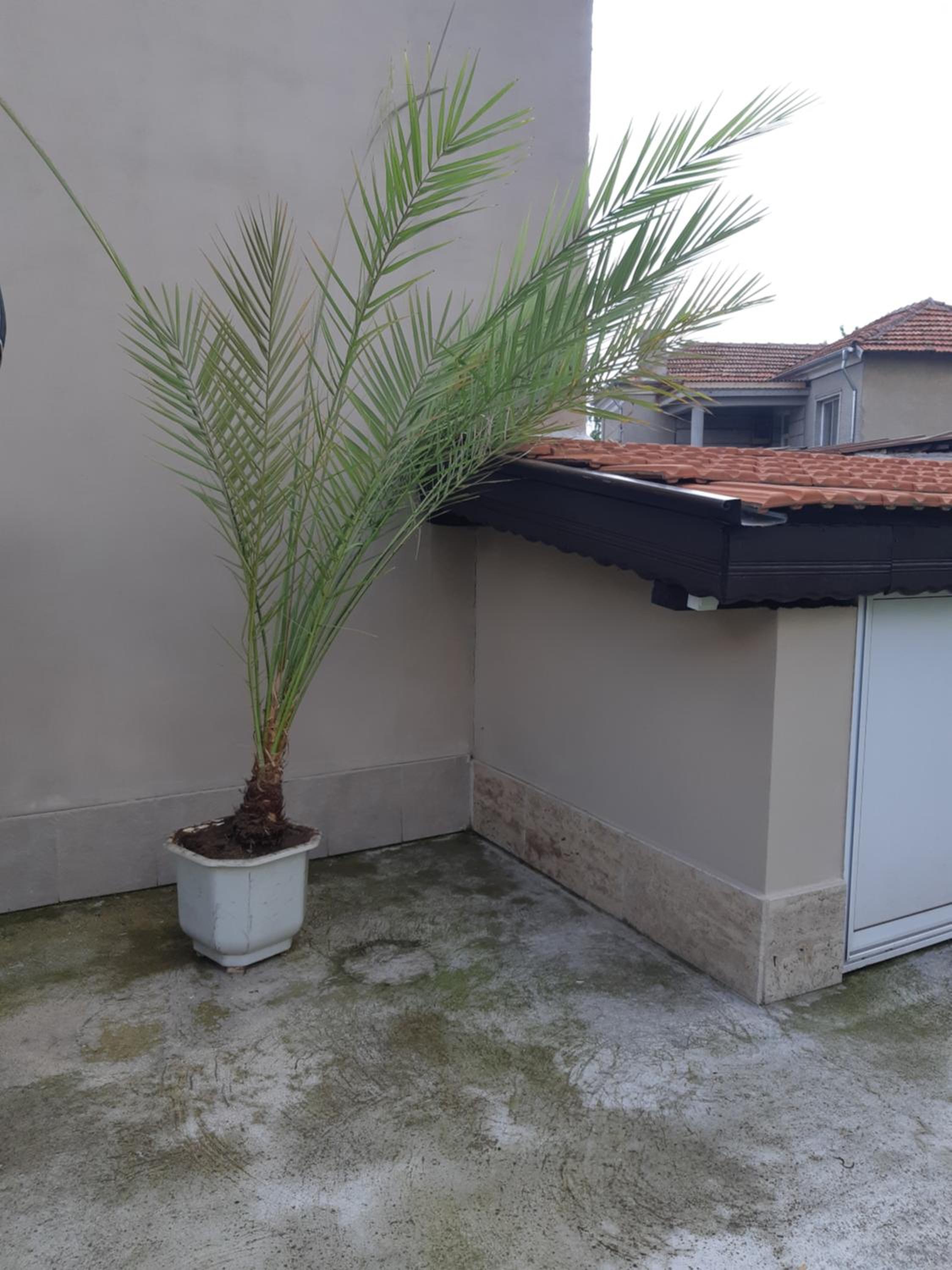 Villa Ros Guest House
