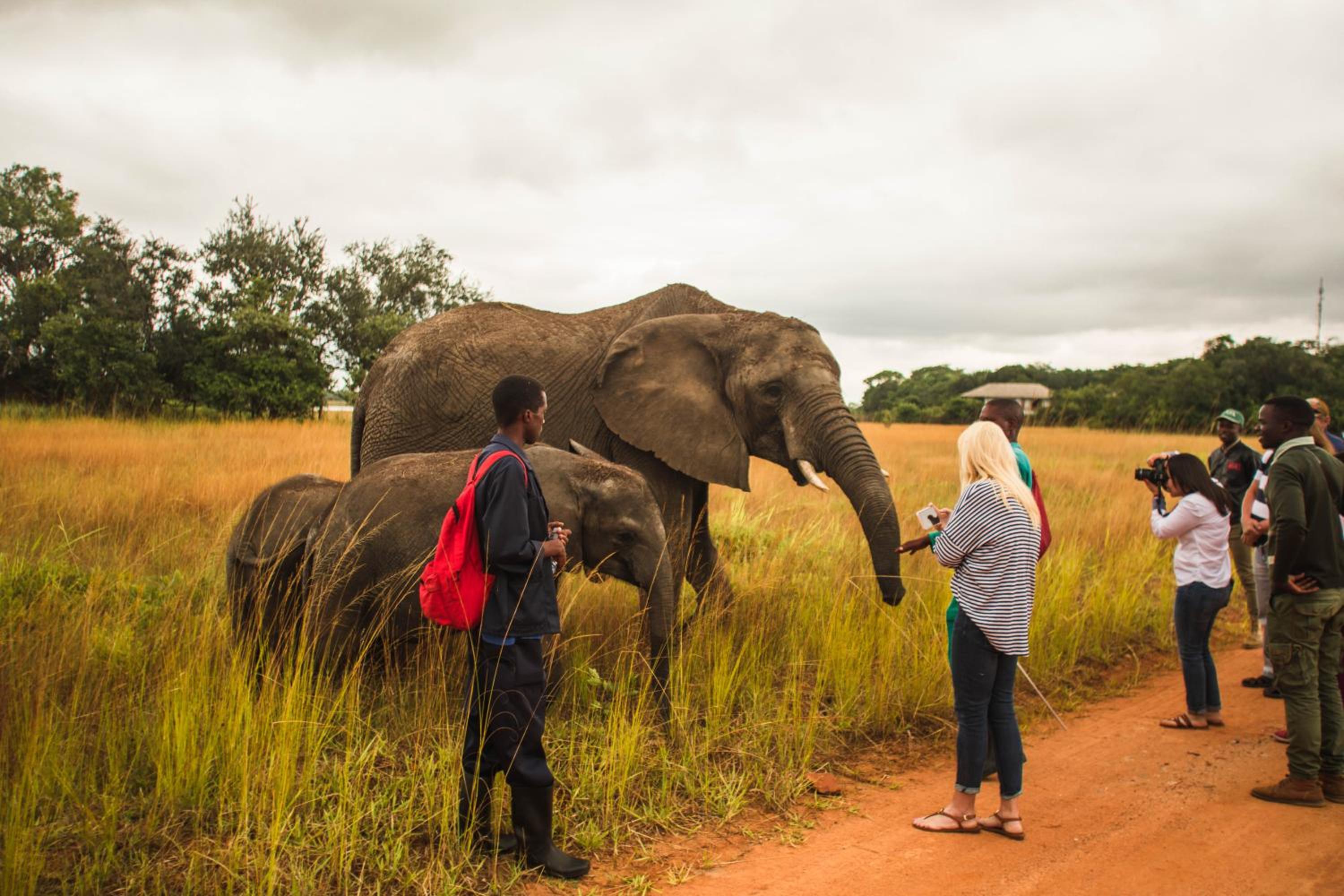 Chaminuka Lodge