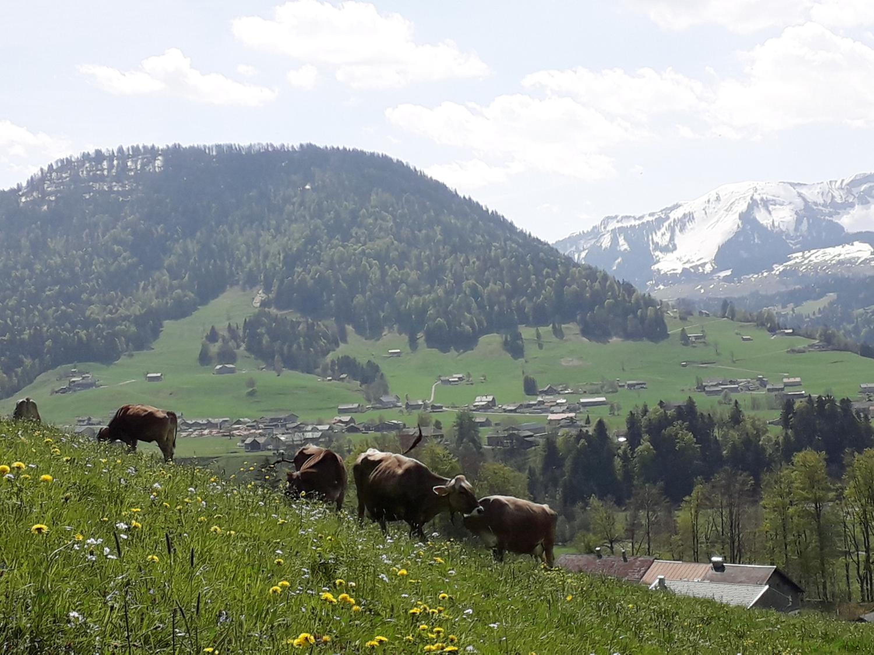 Haus Hagspiel