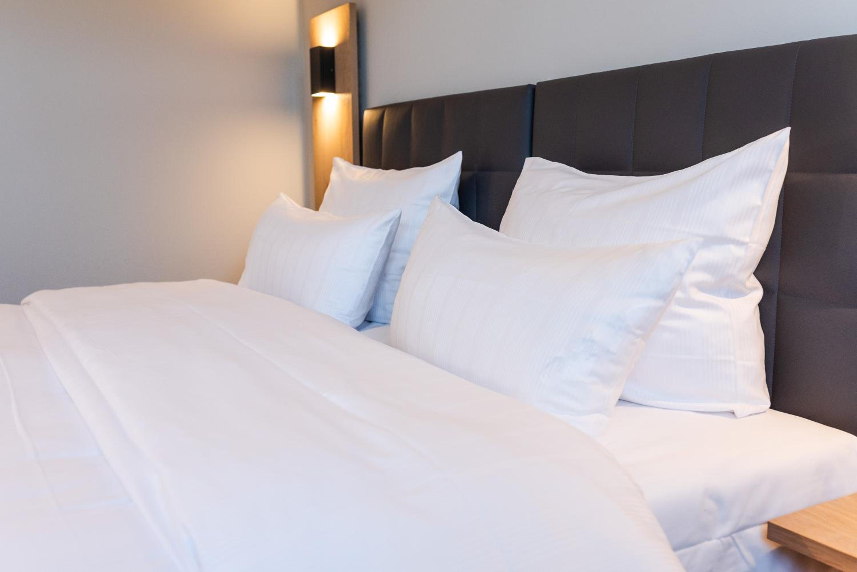 Hotel Circle Inn - Property Image 19