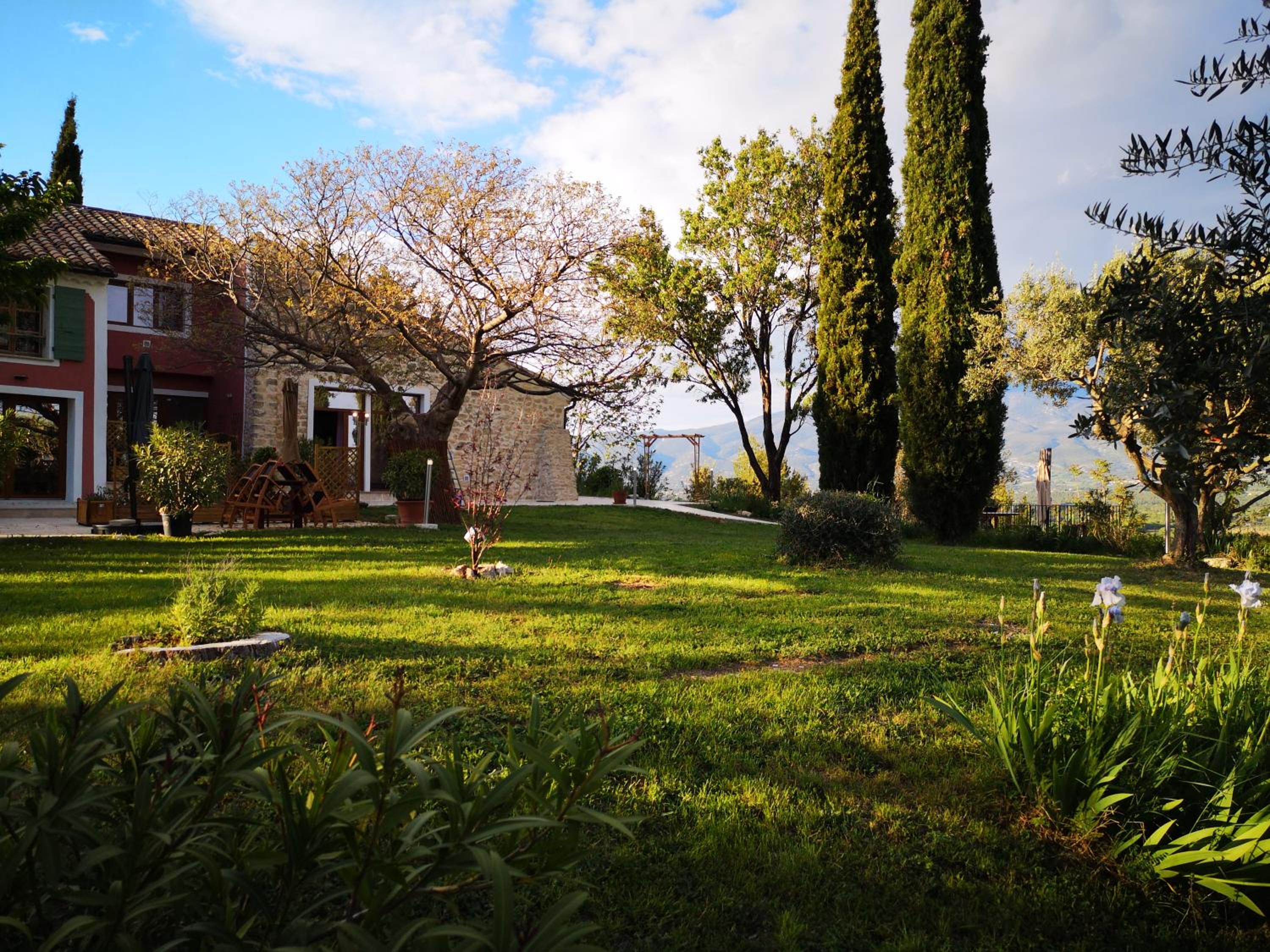 garden