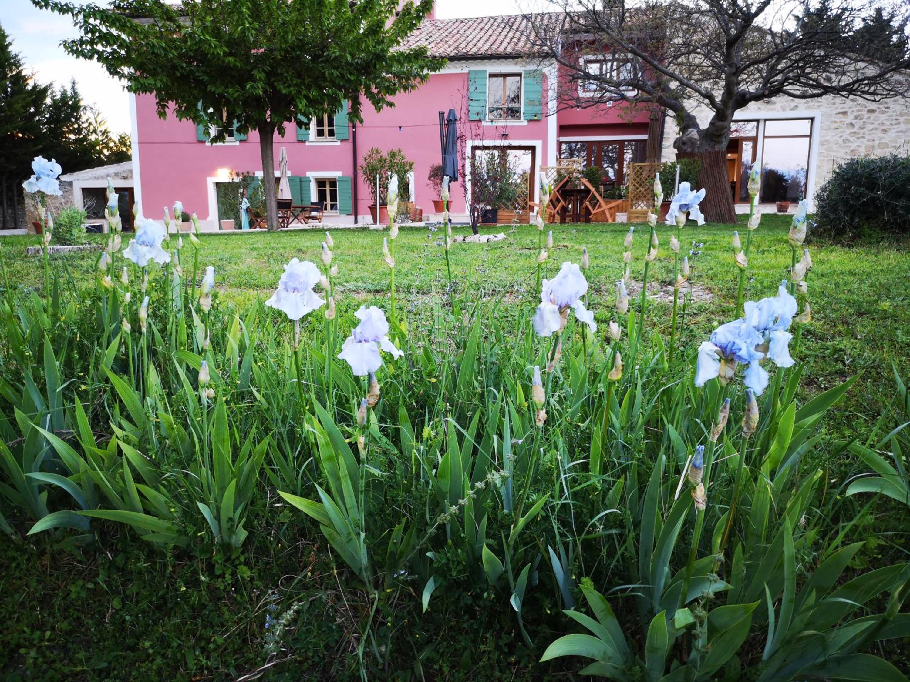 garden