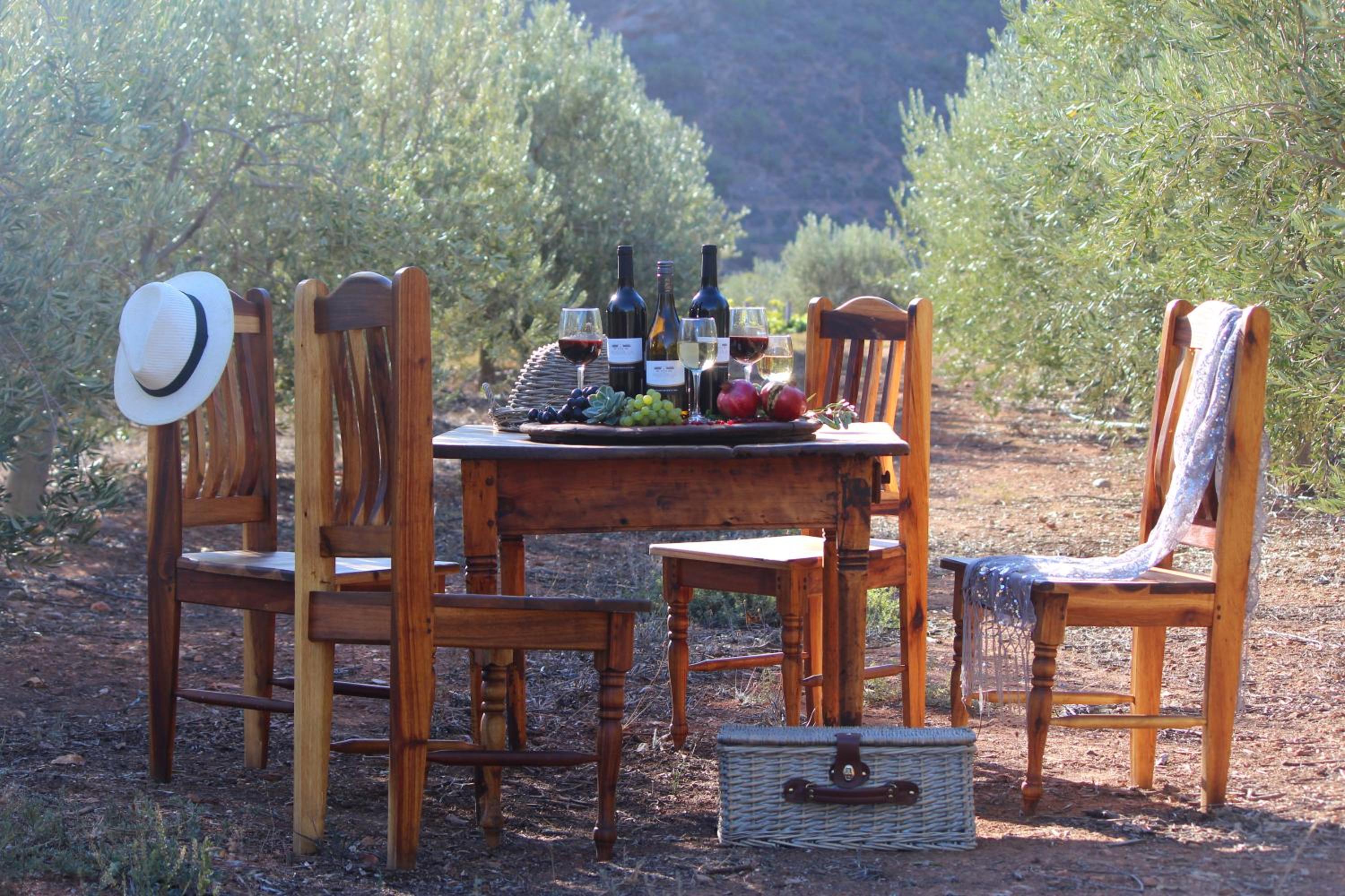 Orange Grove