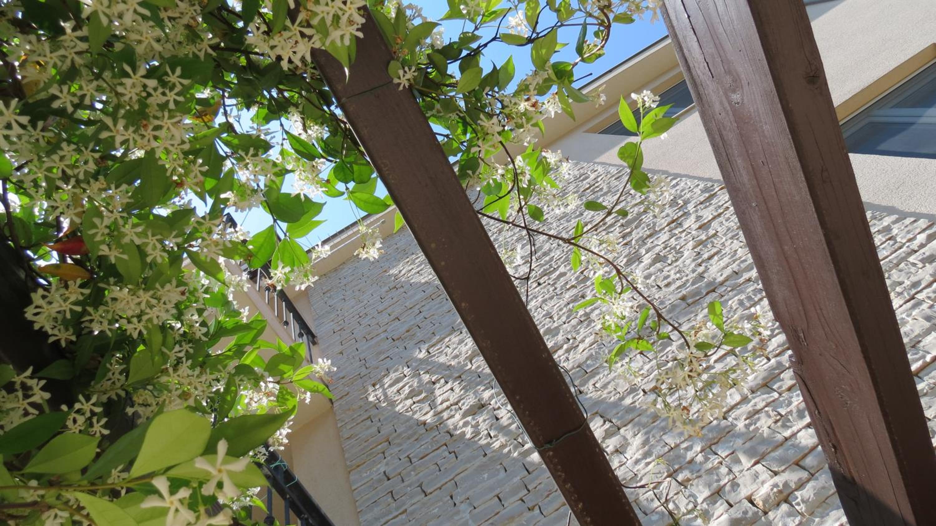 Vila Familia Hvar view 2