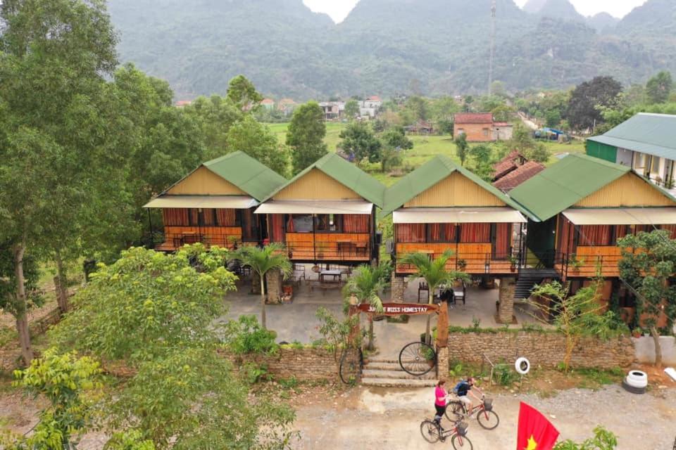 Jungle Boss Homestay