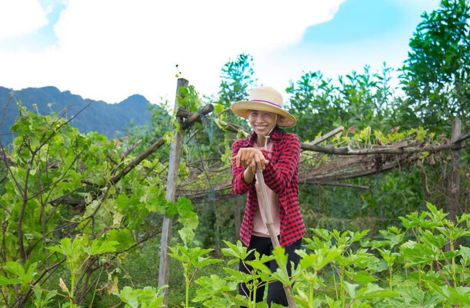 Jungle Boss Homestay