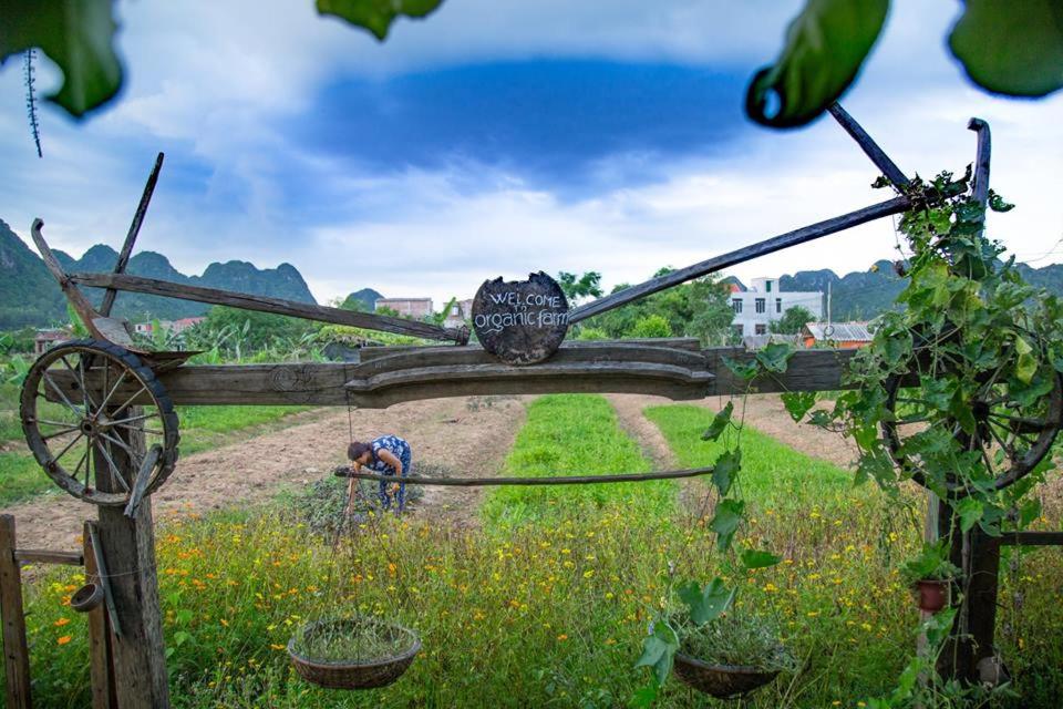 Jungle Boss Homestay