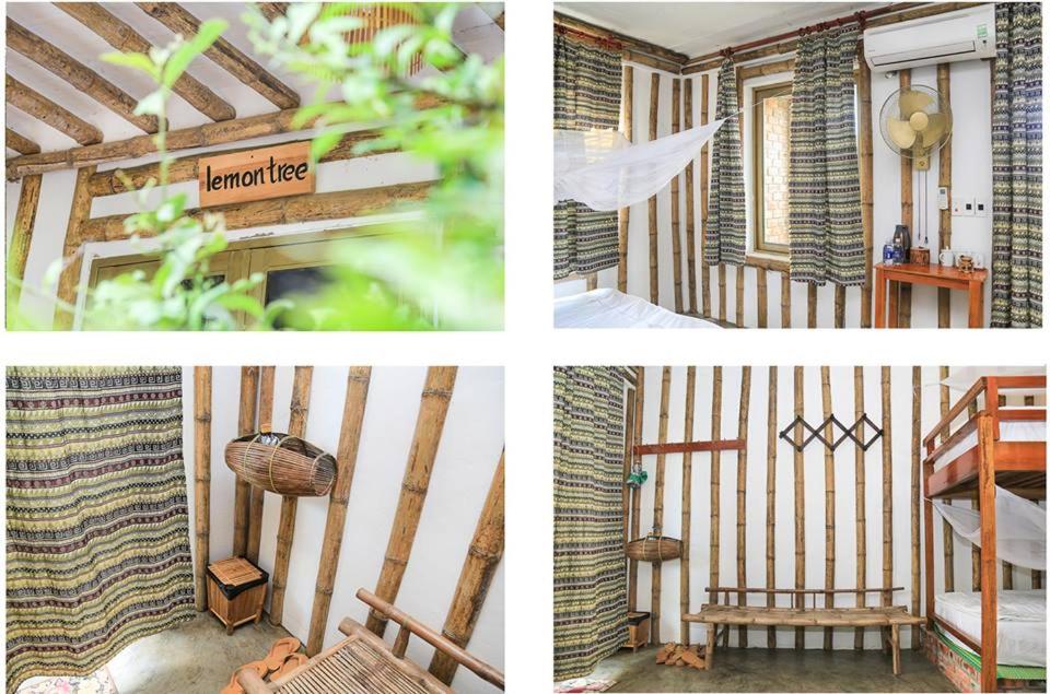 Jungle Boss Homestay