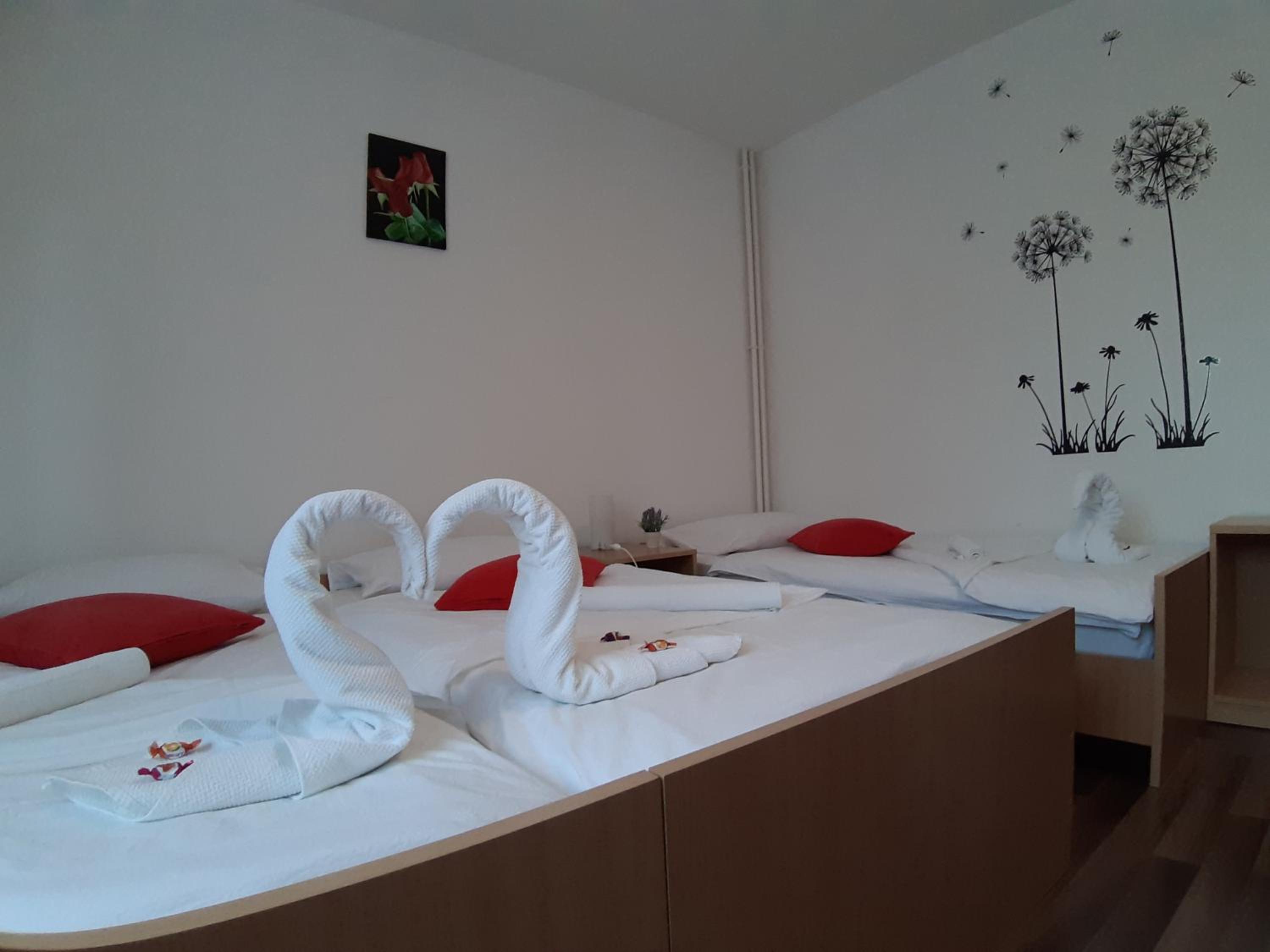 Photo 56