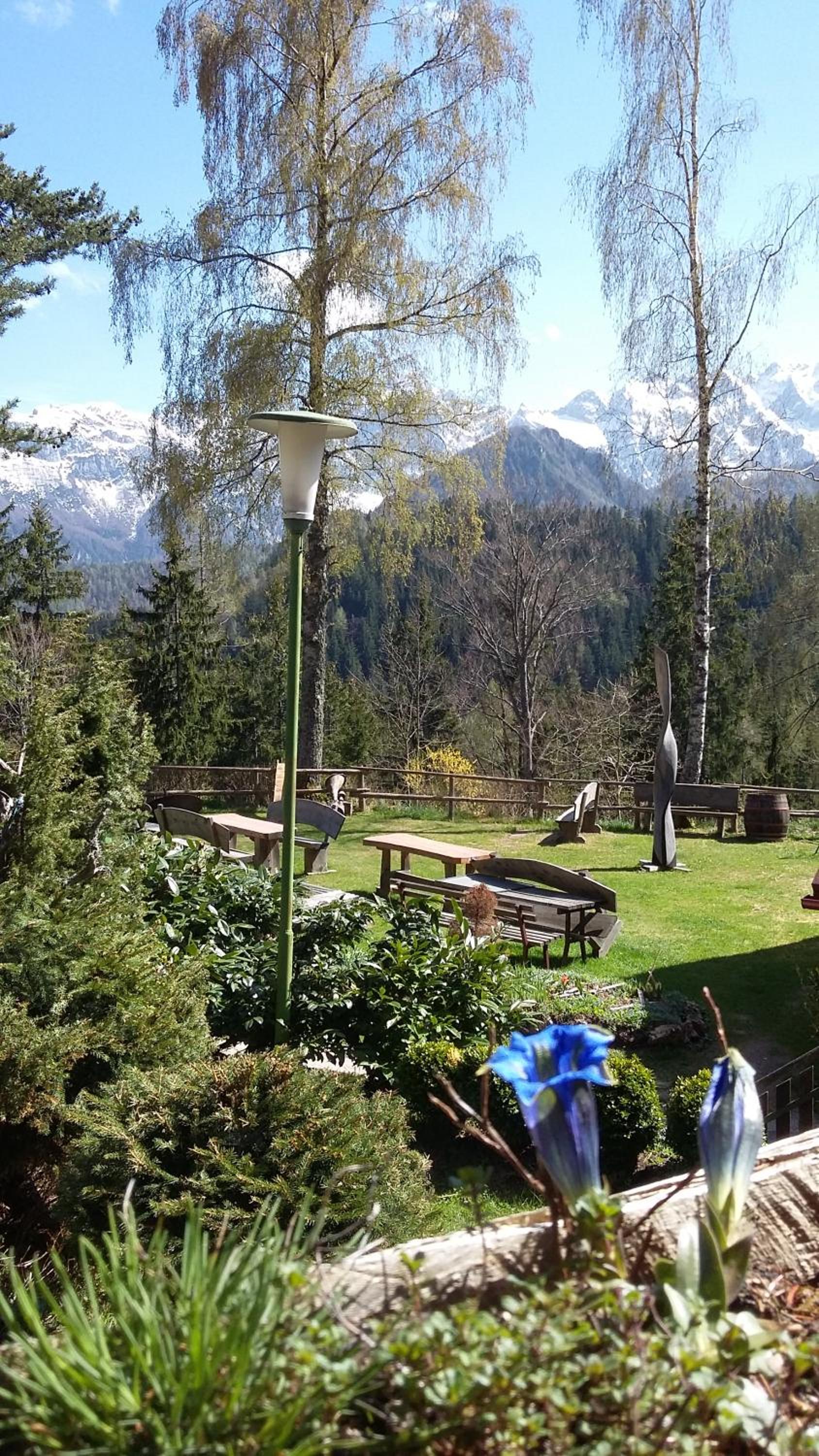 Photo 11