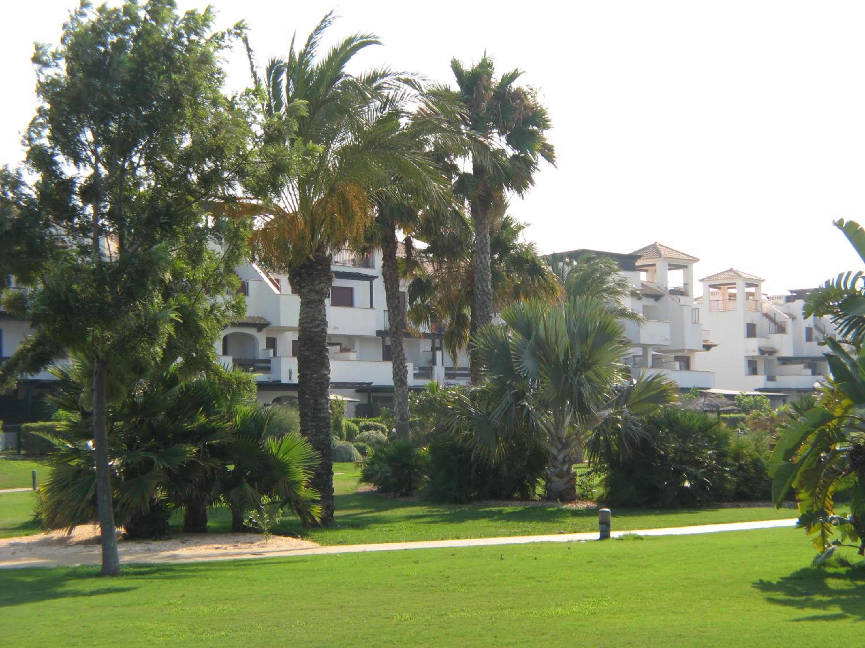 Apartamento VenAVera Playa Jardines de Nuevo Vera C4-1D Primera Línea WIFI view 5