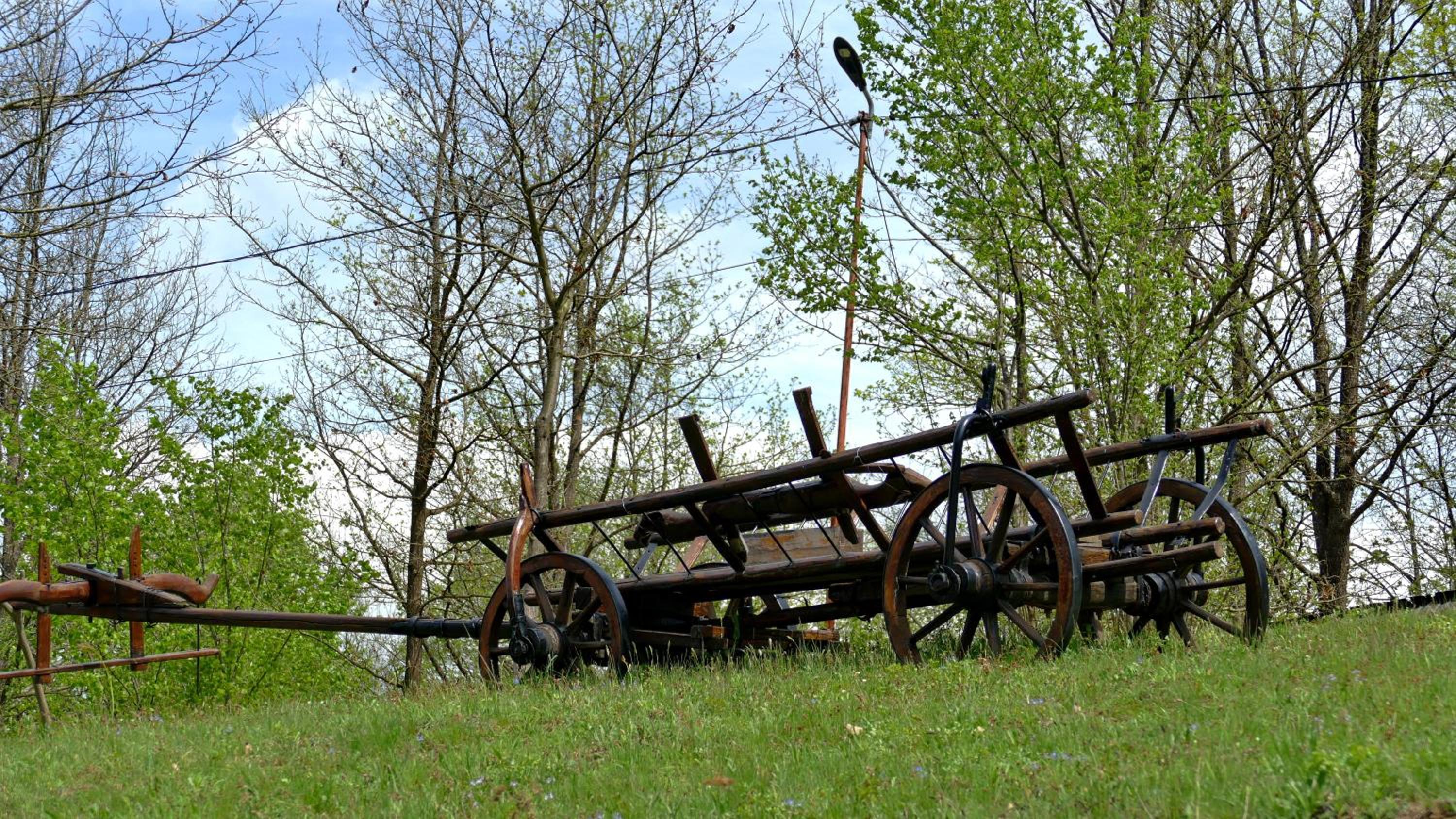 Photo 42