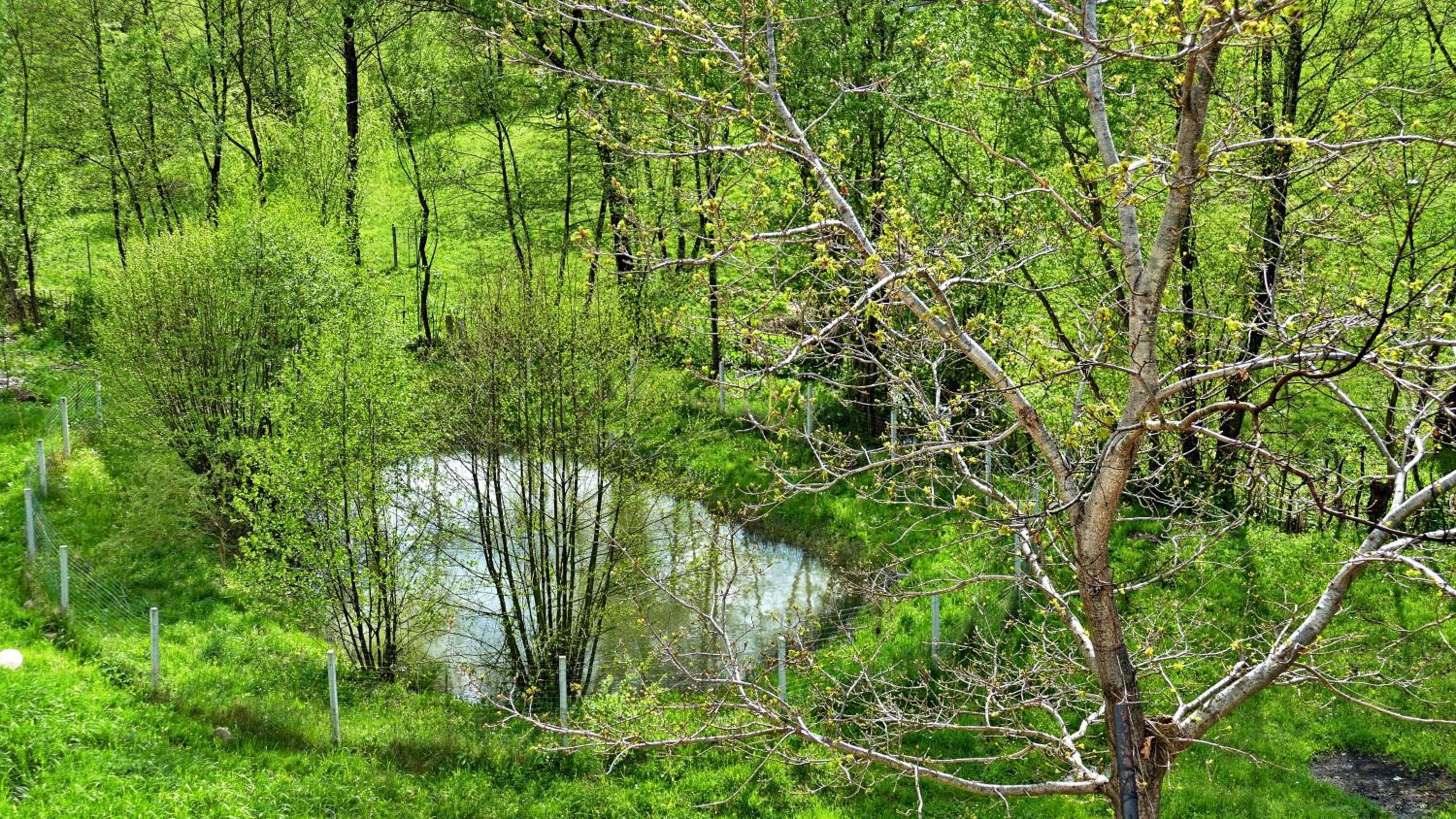Photo 40