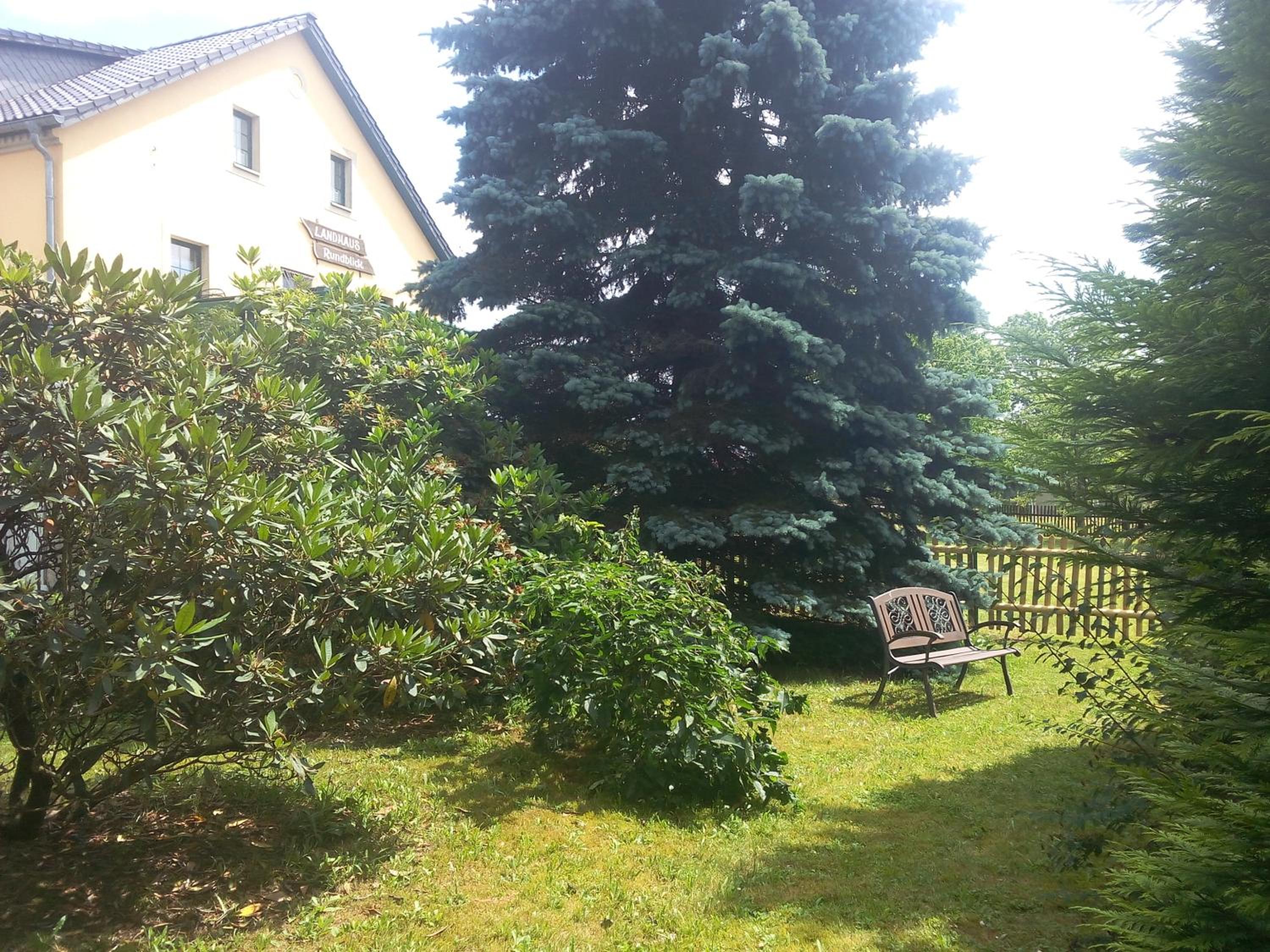 Photo 56