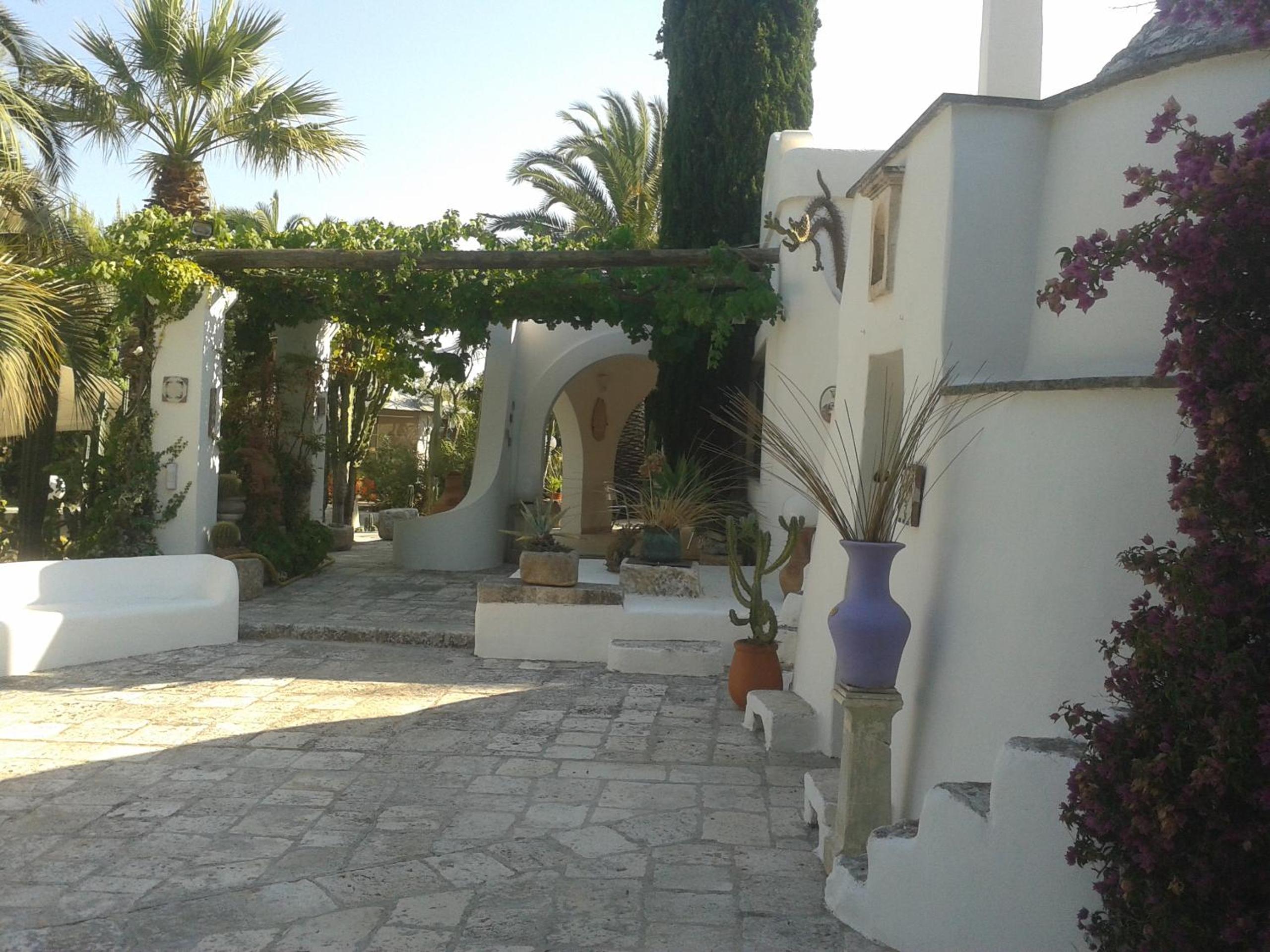 Photo 10