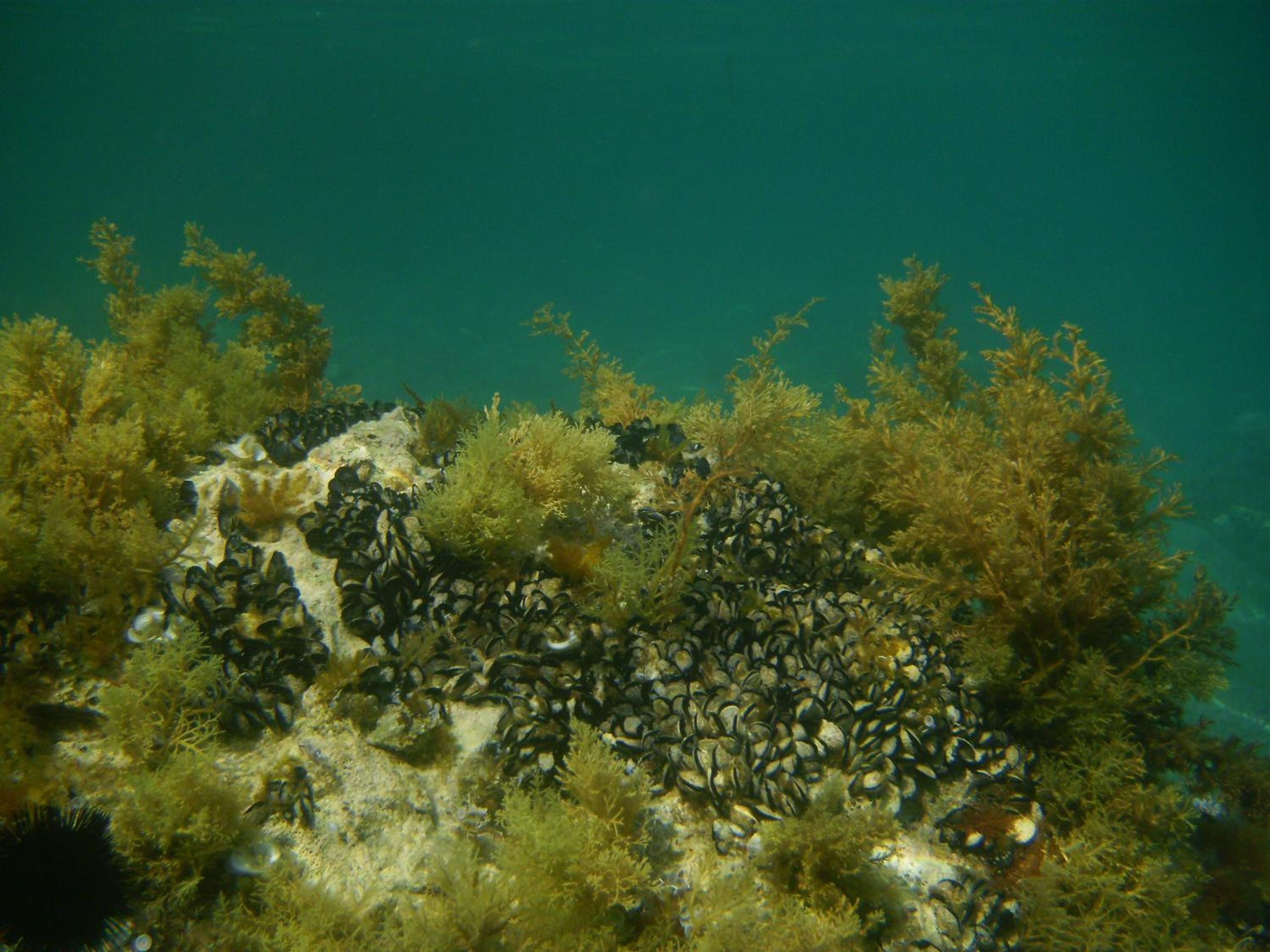 Photo 19