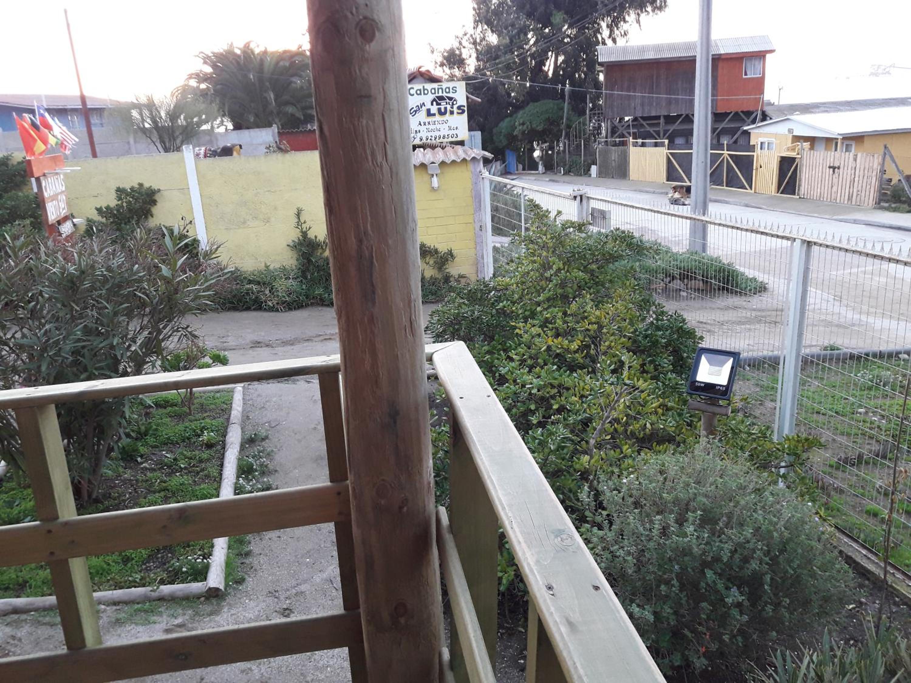 Photo 10