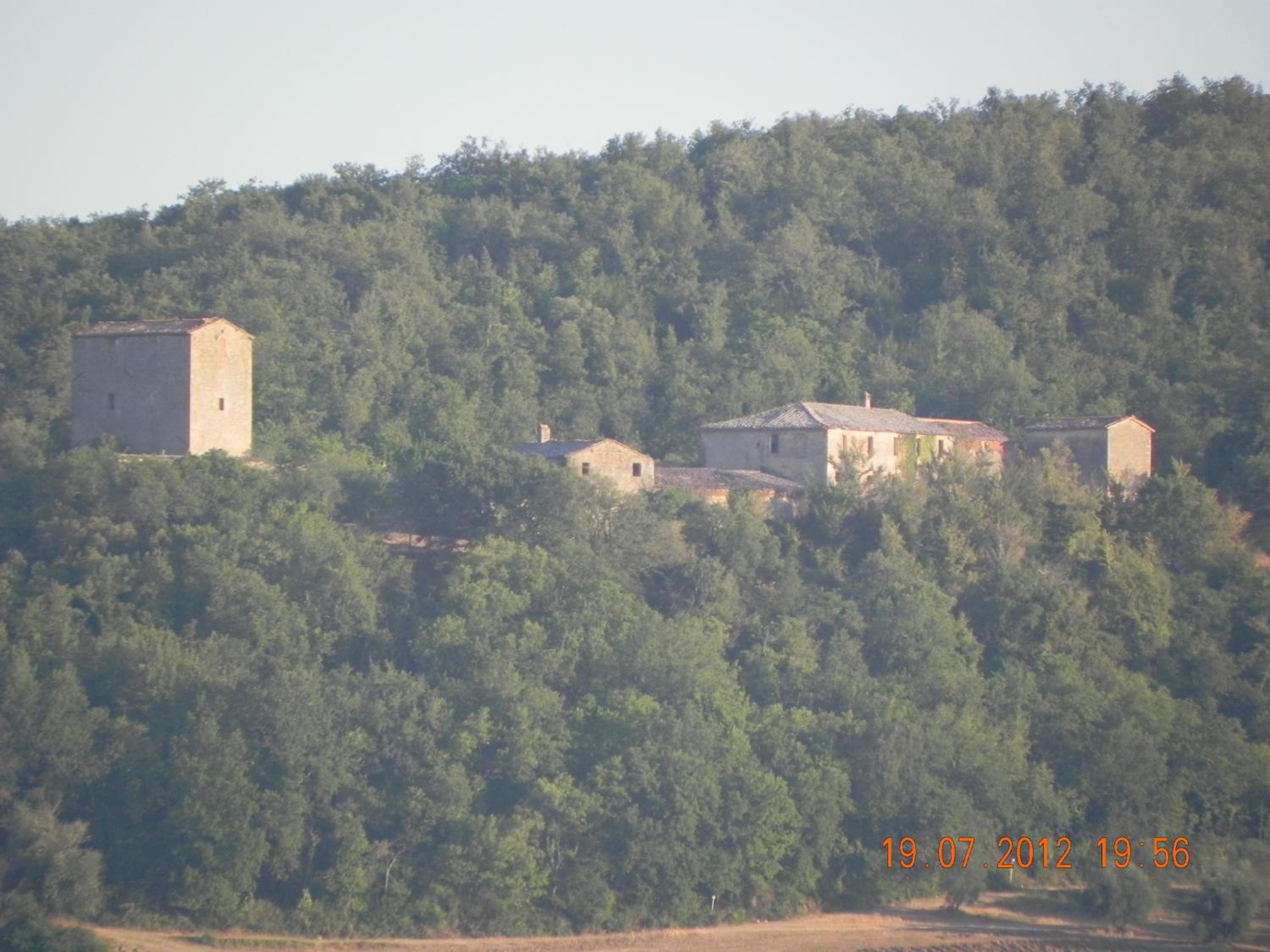 Photo 41