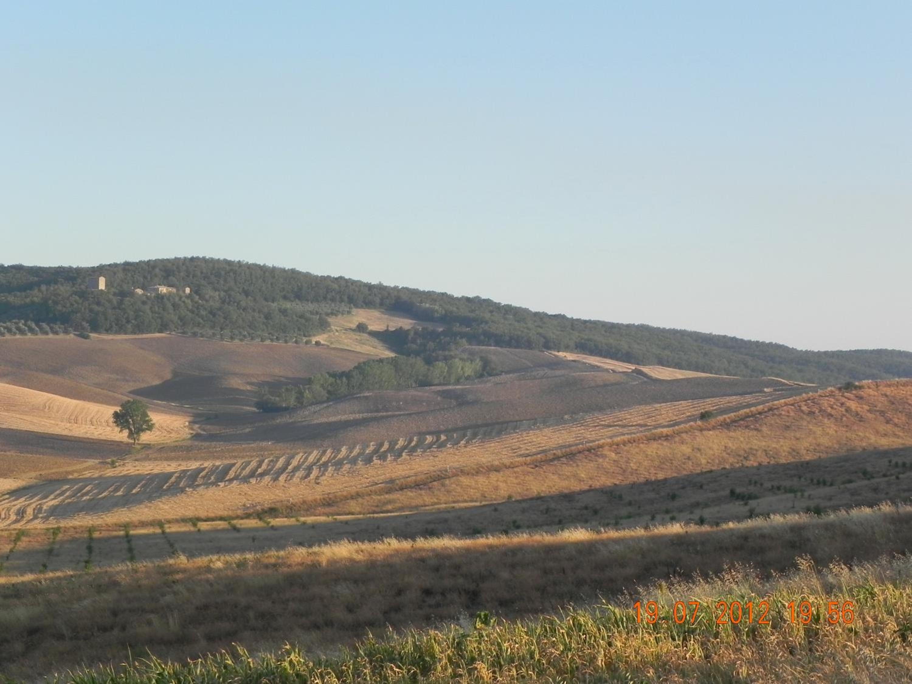 Photo 42