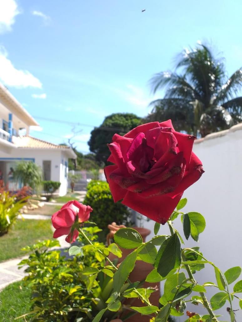 Estrela Azul Guest House Búzios