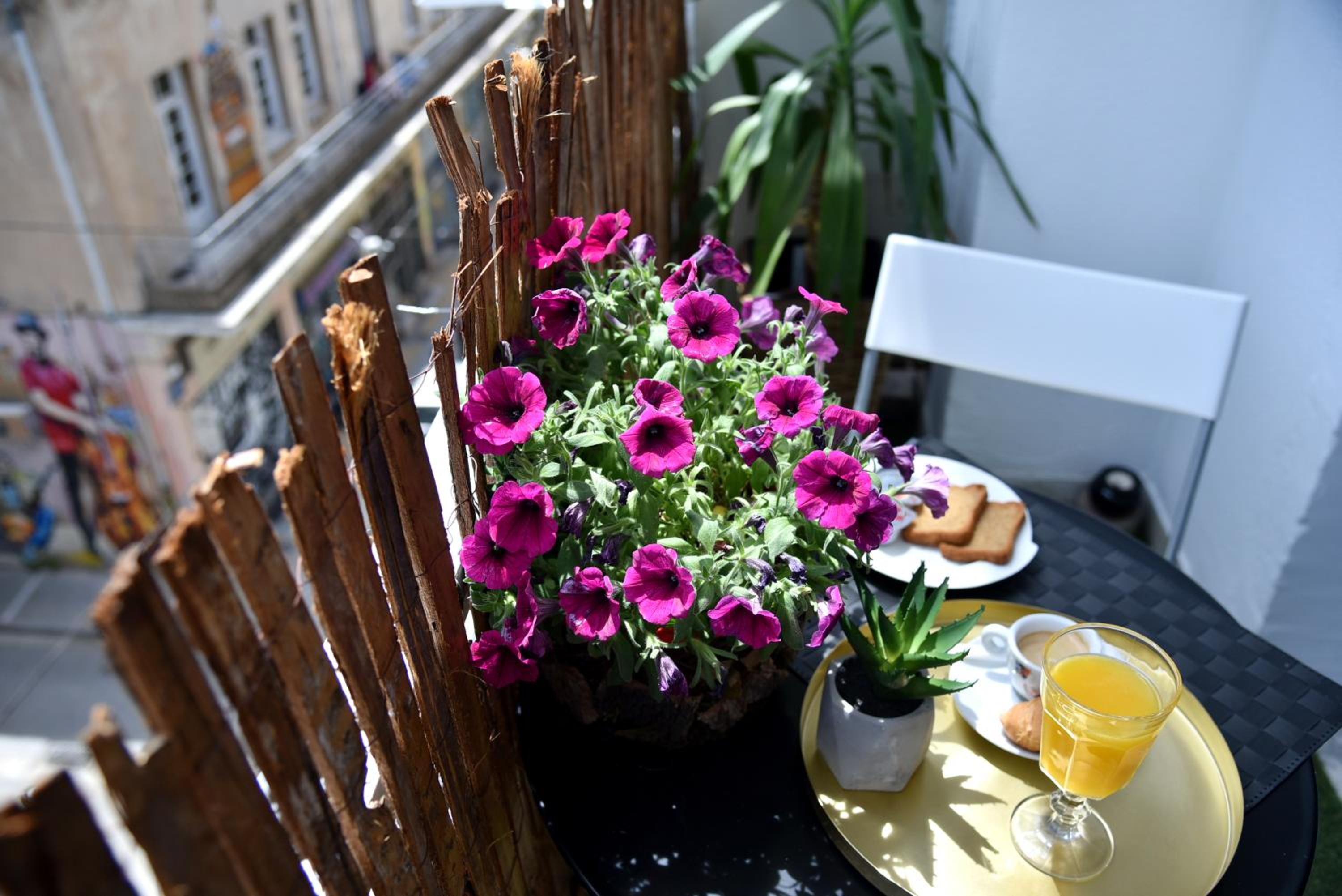 balance & terrace