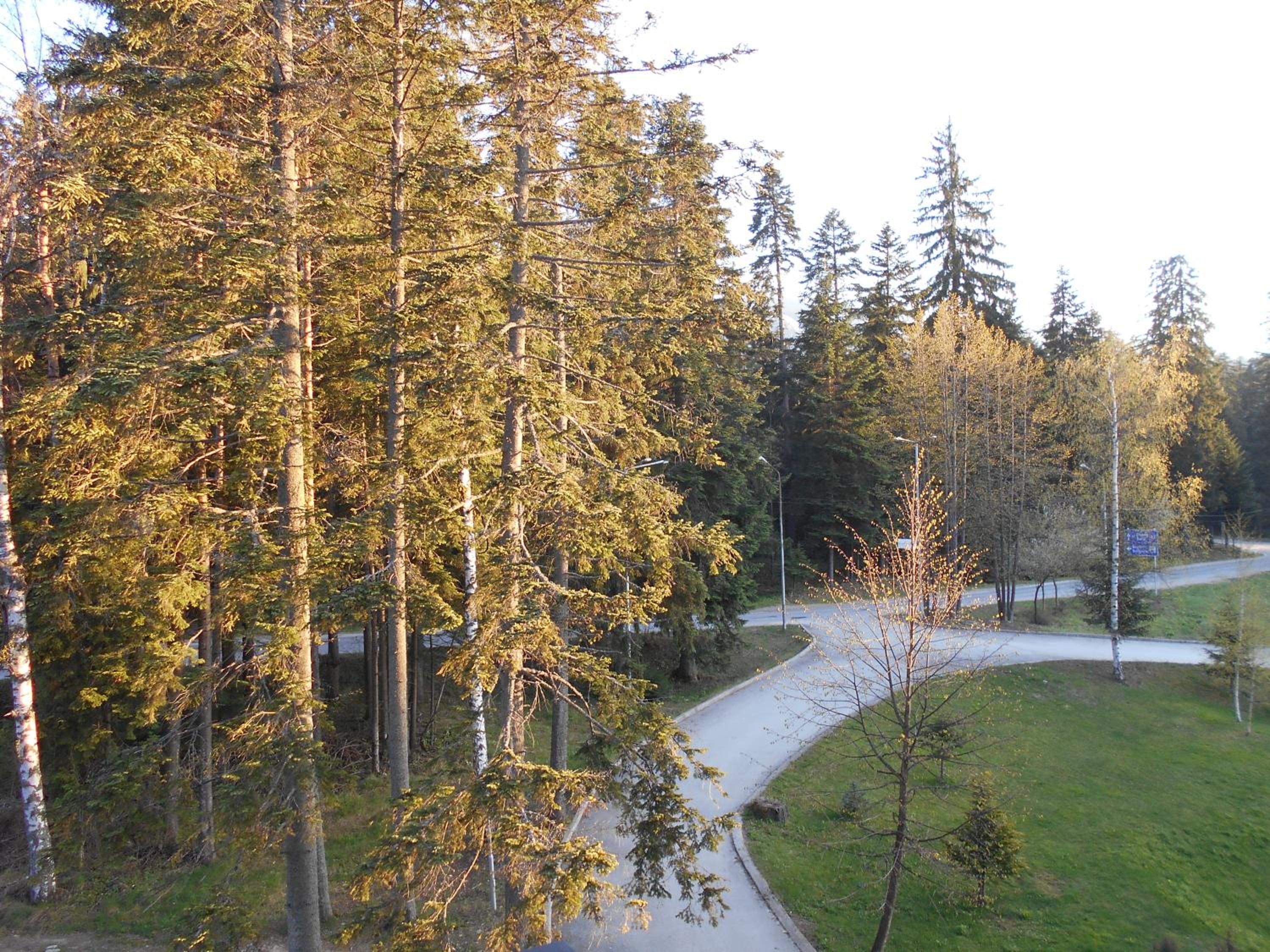 Photo 22